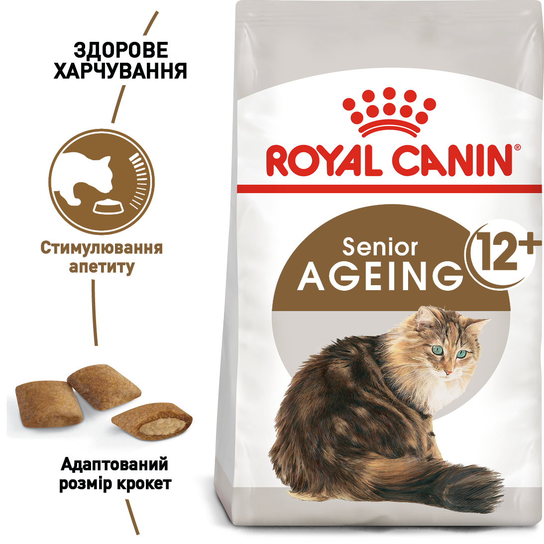 ROYAL CANIN Ageing 12+ Сухой корм для зрелых домашних котов6