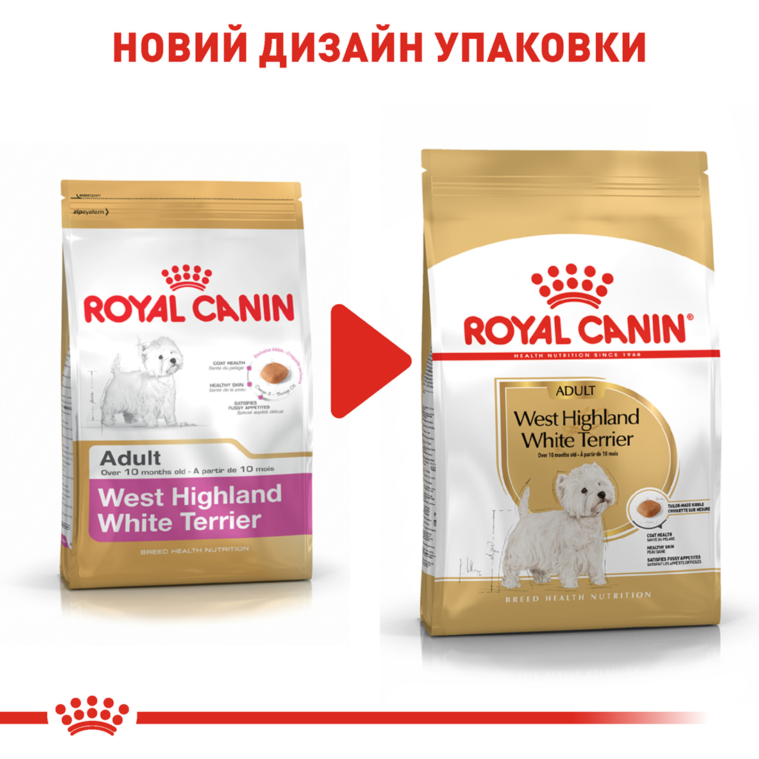 ROYAL CANIN West Highland White Terrier Adult Сухий корм для дорослих собак породи Вест-Хайленд-Уайт-тер'єр7