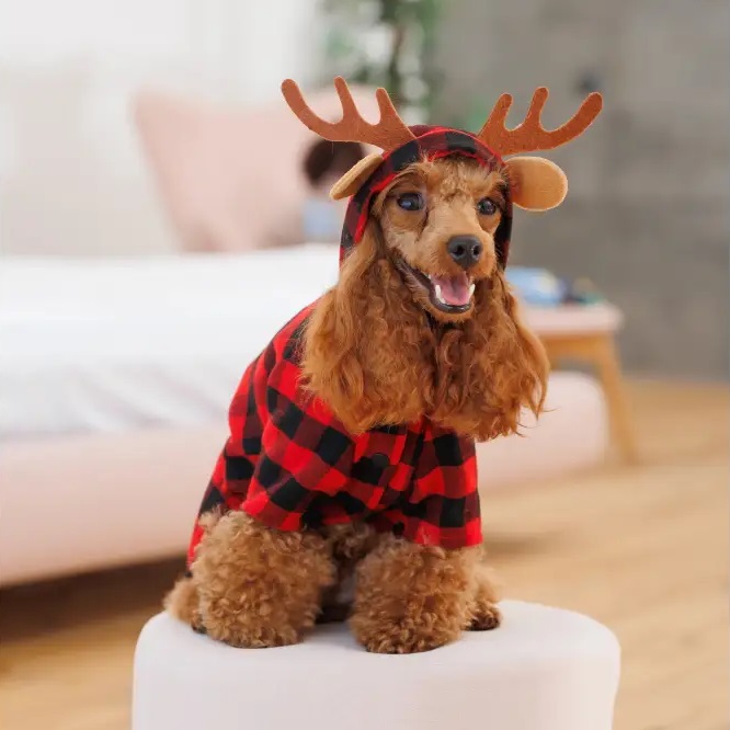 PET FASHION Xmas Костюм для собак5