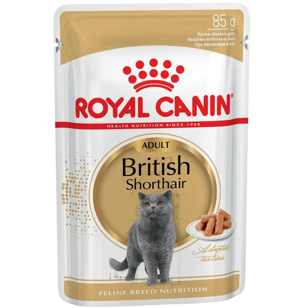 ROYAL CANIN British Shorthair Adult Вологий корм для дорослих котів породи Британська короткошерста0