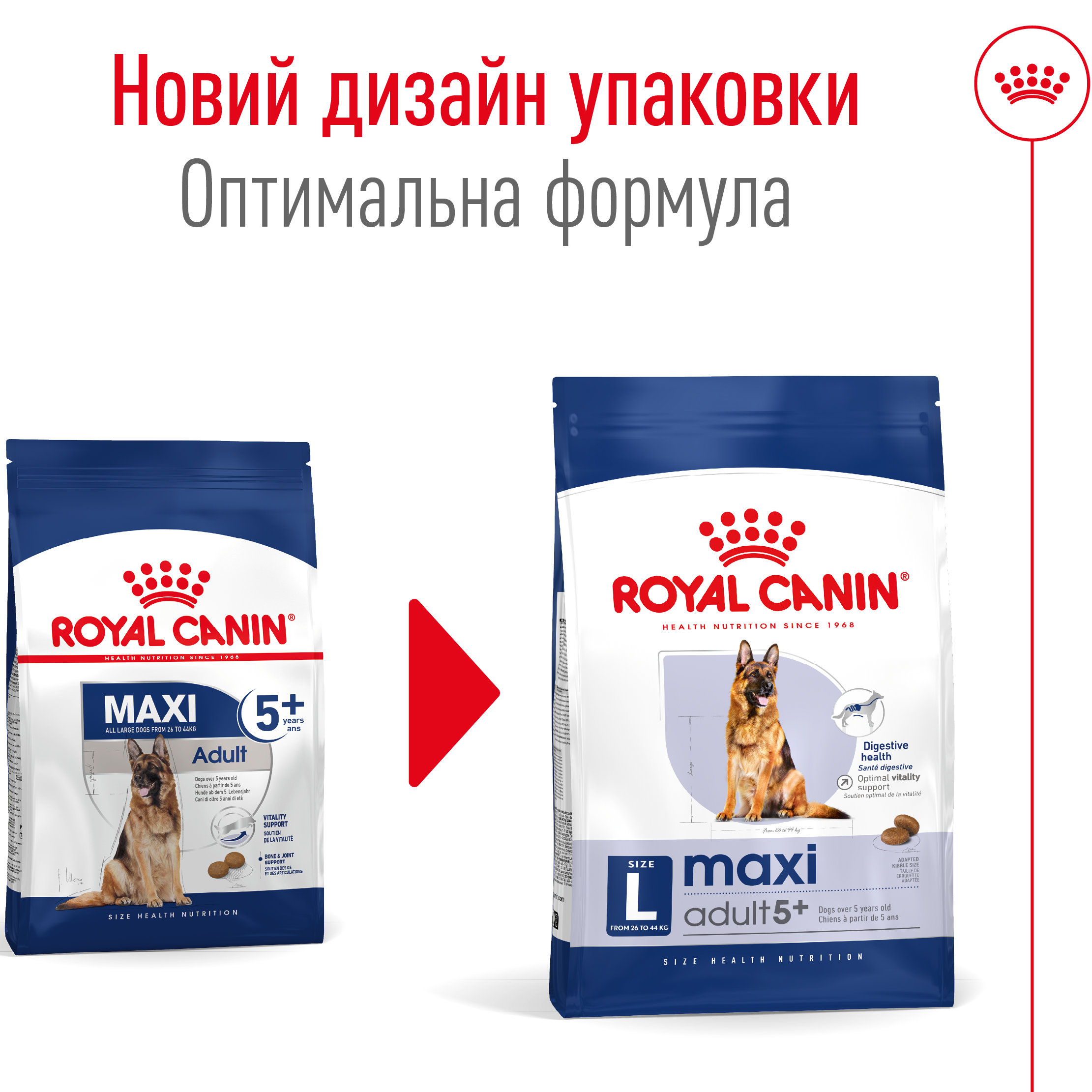 ROYAL CANIN Maxi Adult 5+ Сухой корм для собак больших пород старше 5 лет4