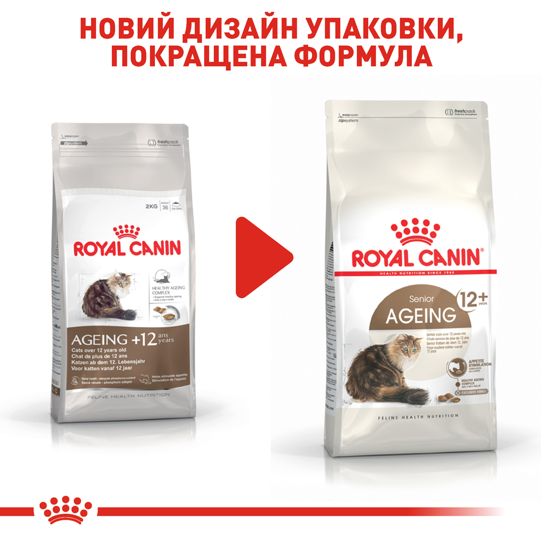 ROYAL CANIN Ageing 12+ Сухий корм для зрілих домашніх котів7