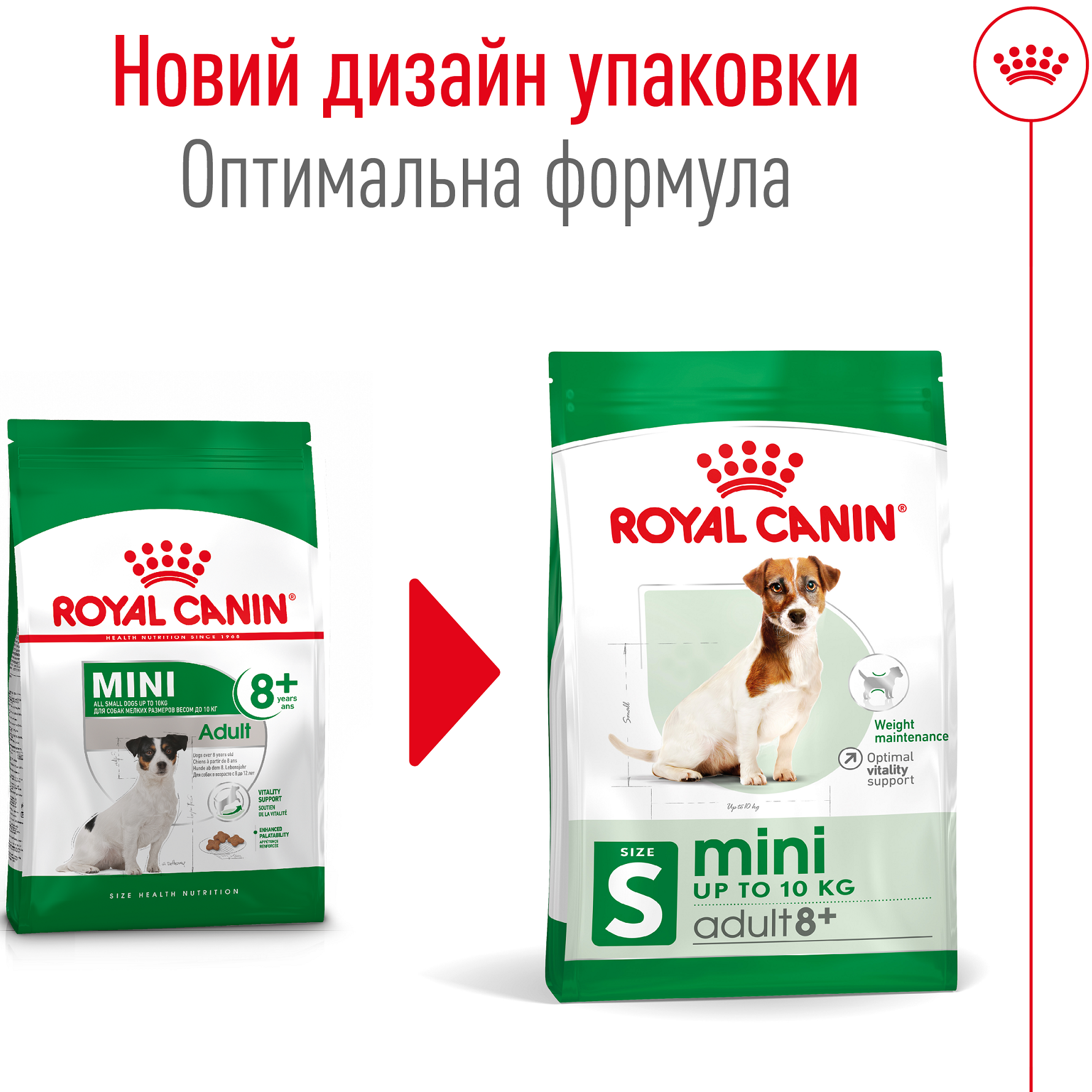 ROYAL CANIN Mini Adult 8+ Сухой корм для собак мелких пород старше 8 лет4