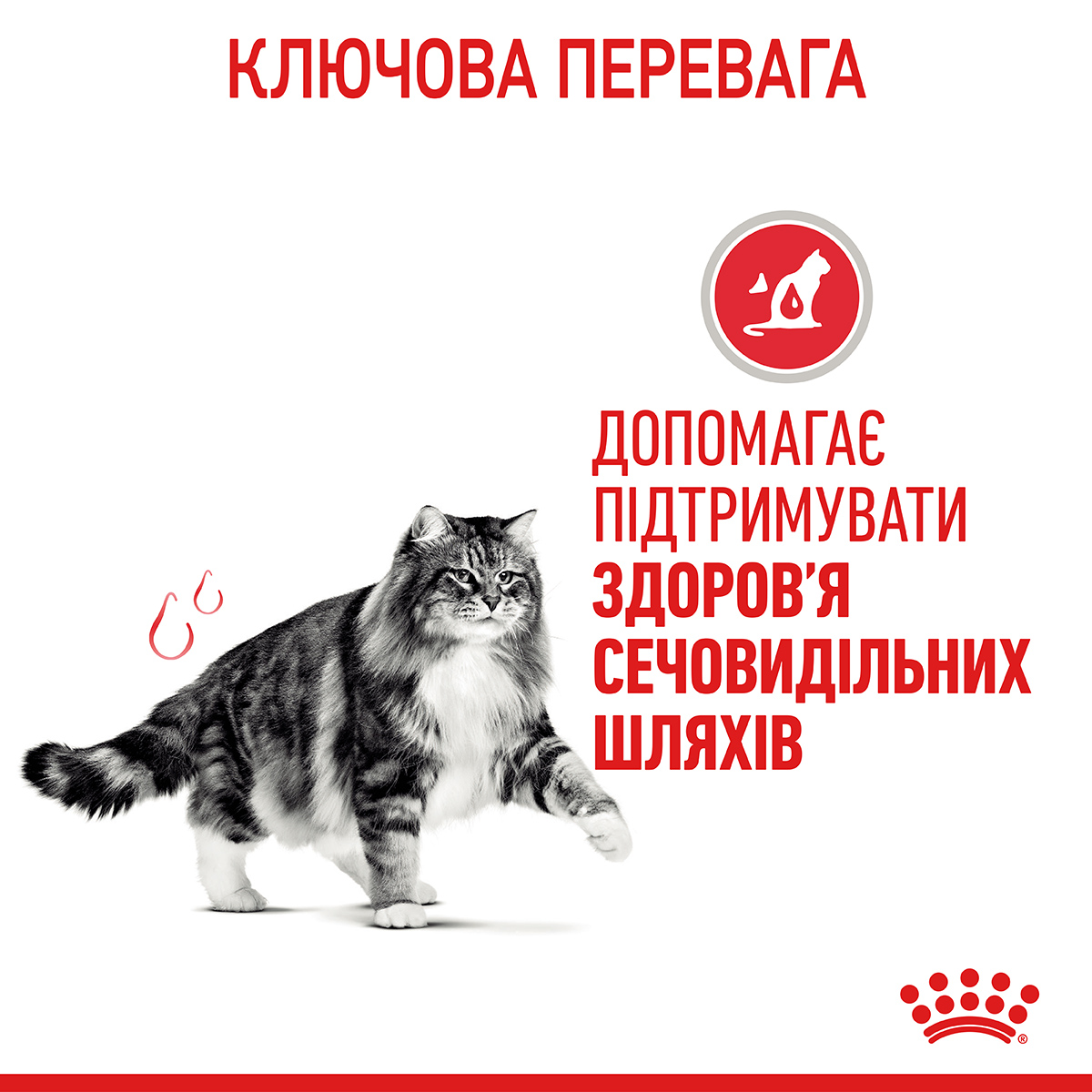 ROYAL CANIN Urinary Care Сухой корм для взрослых котов для поддержания здоровья мочевыводящих путей3