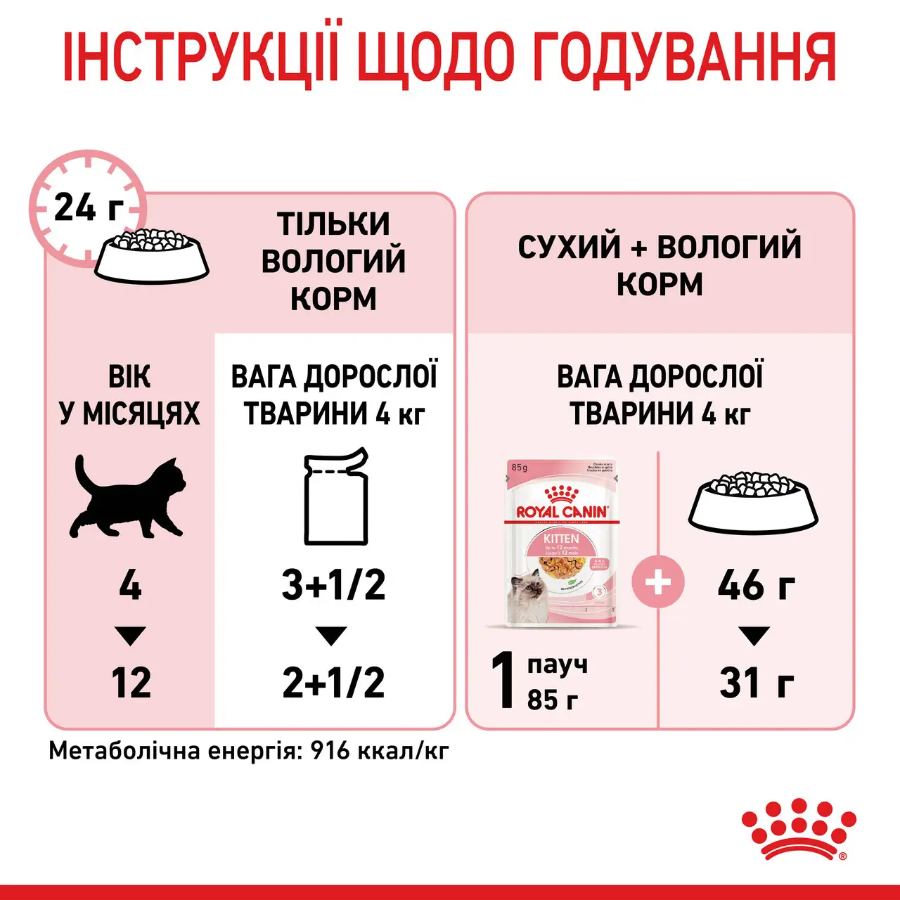 ROYAL CANIN Kitten Jelly Вологий корм для кошенят2