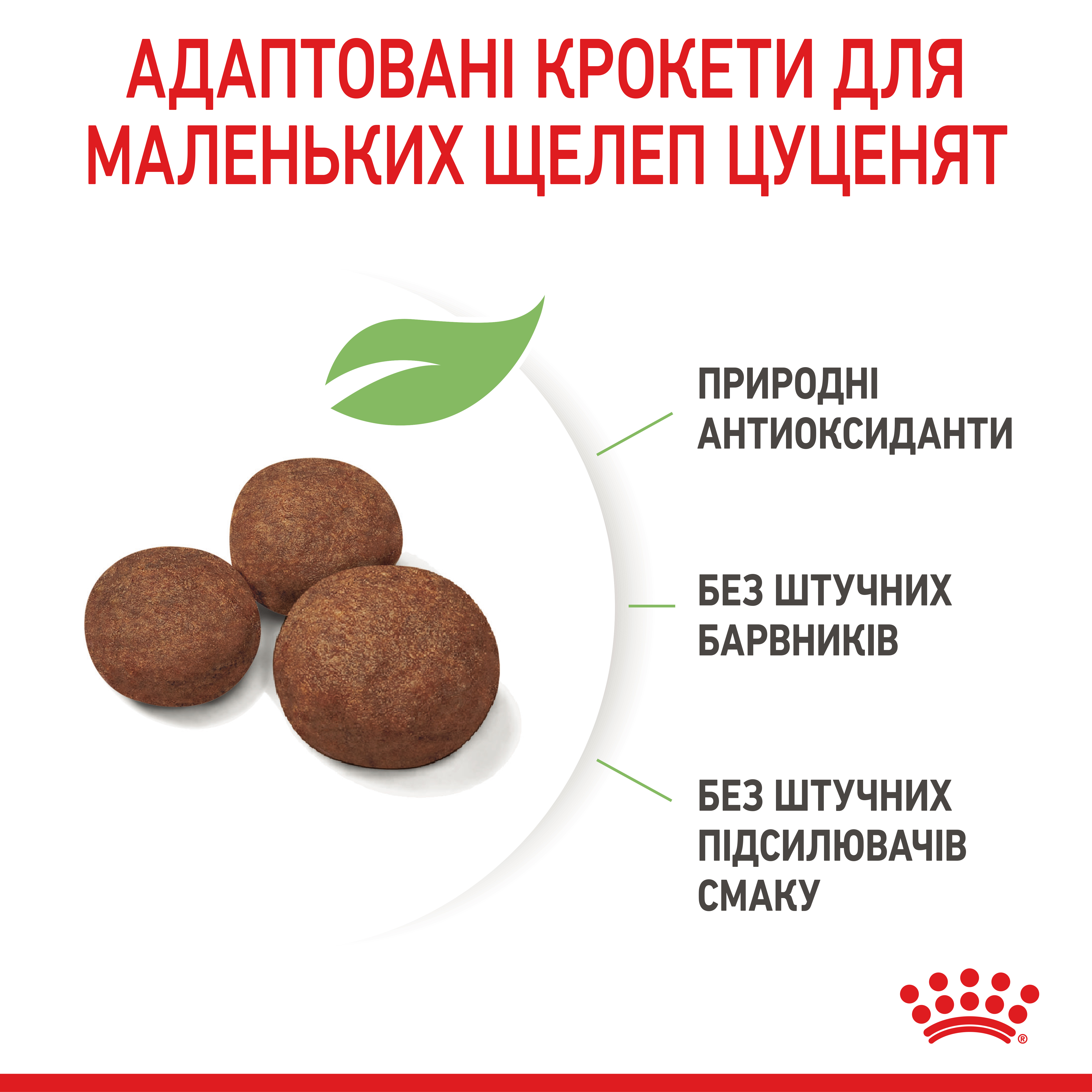 ROYAL CANIN Medium Puppy Сухий корм для цуценят6