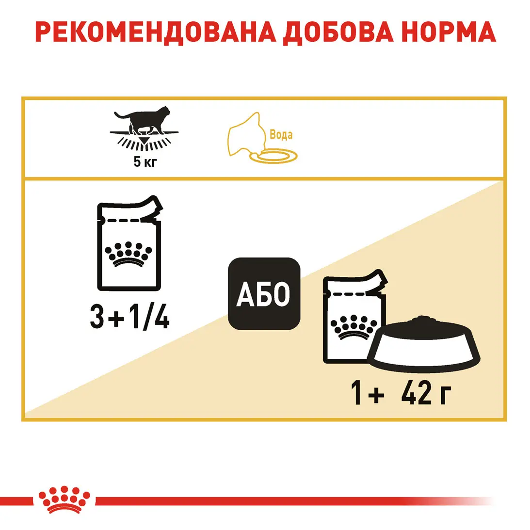 ROYAL CANIN British Shorthair Adult Вологий корм для дорослих котів породи Британська короткошерста6