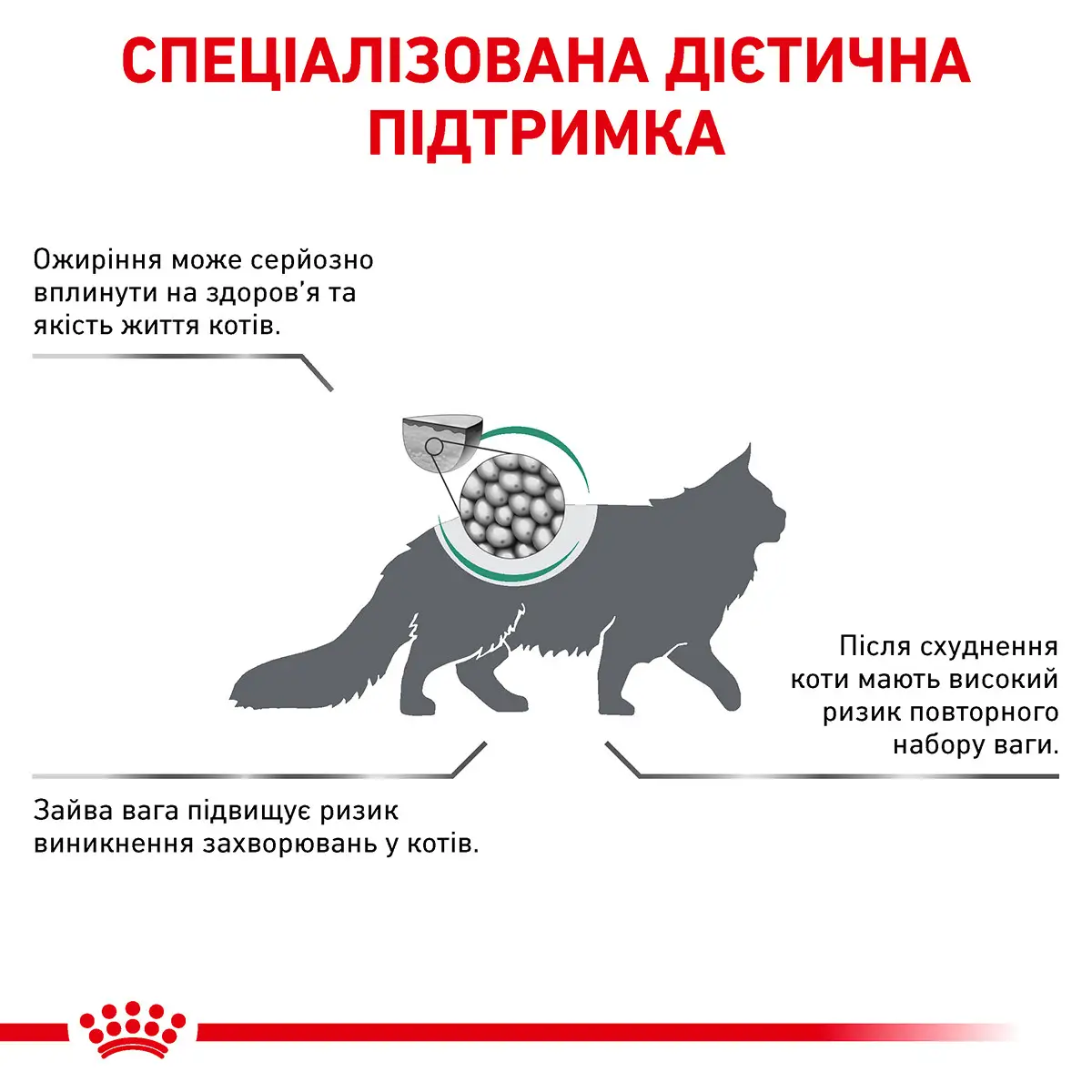 ROYAL CANIN Satiety Weight Management Cat Сухой корм для взрослых котов9