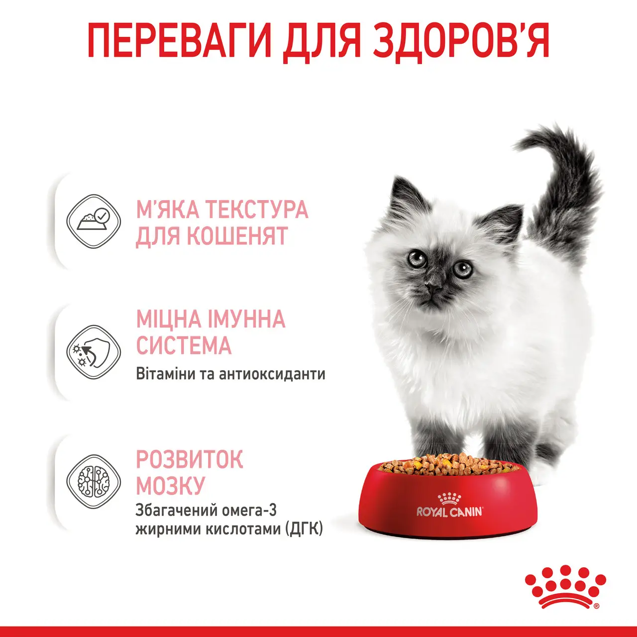 ROYAL CANIN Kitten Jelly Вологий корм для кошенят6