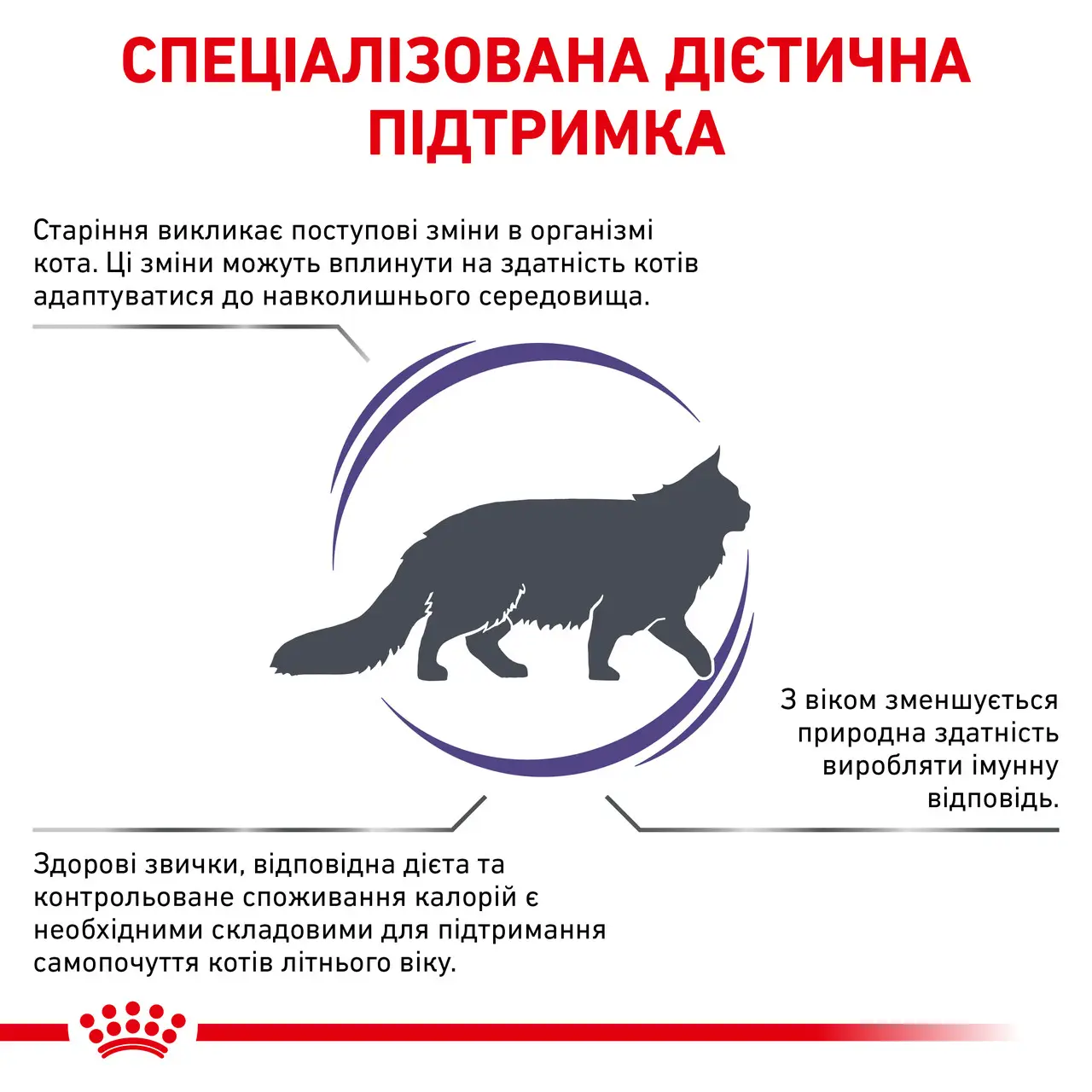 ROYAL CANIN Mature Consult Balance Feline Сухой корм для взрослых котов1