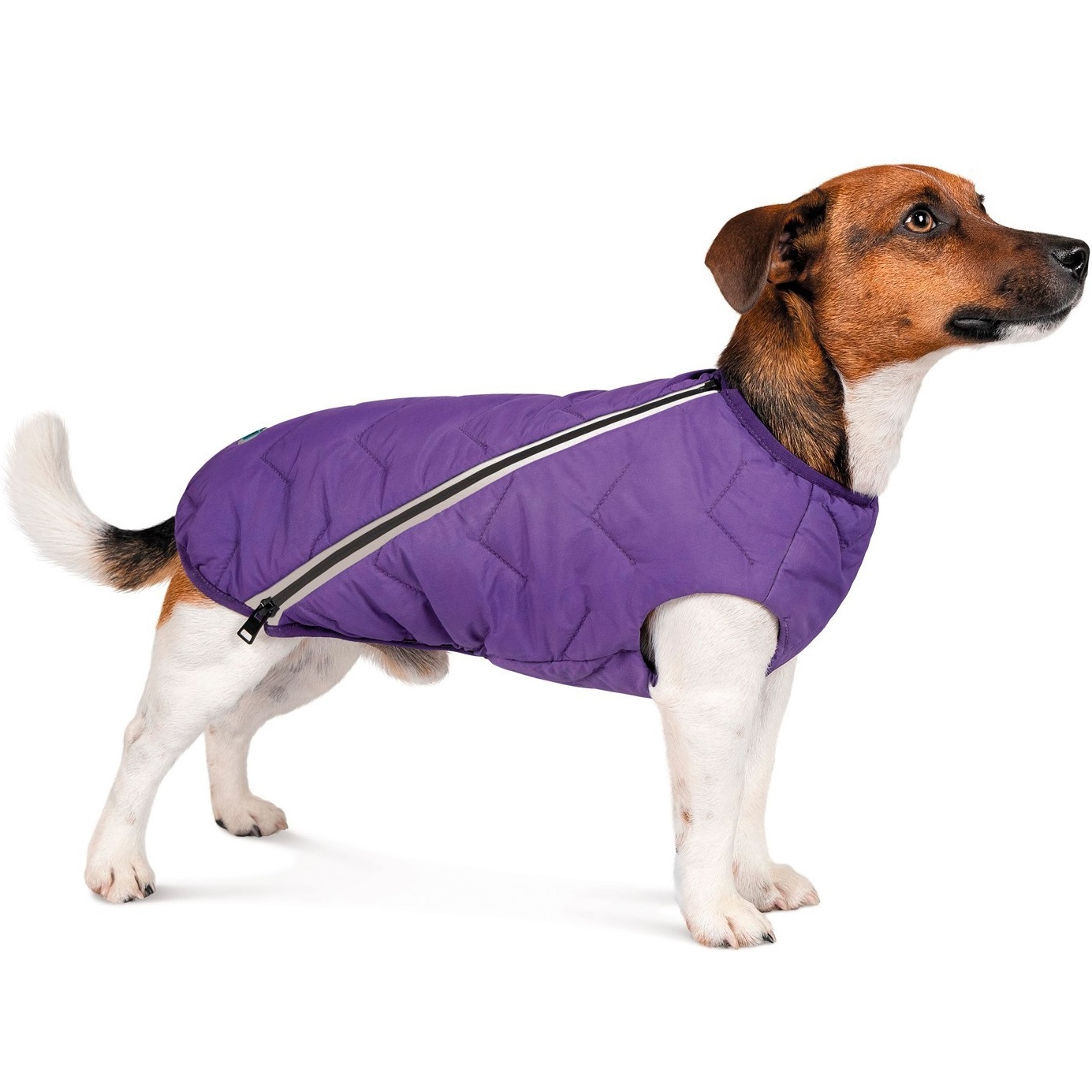 Pet Fashion "E.Vest" Жилет для собак1