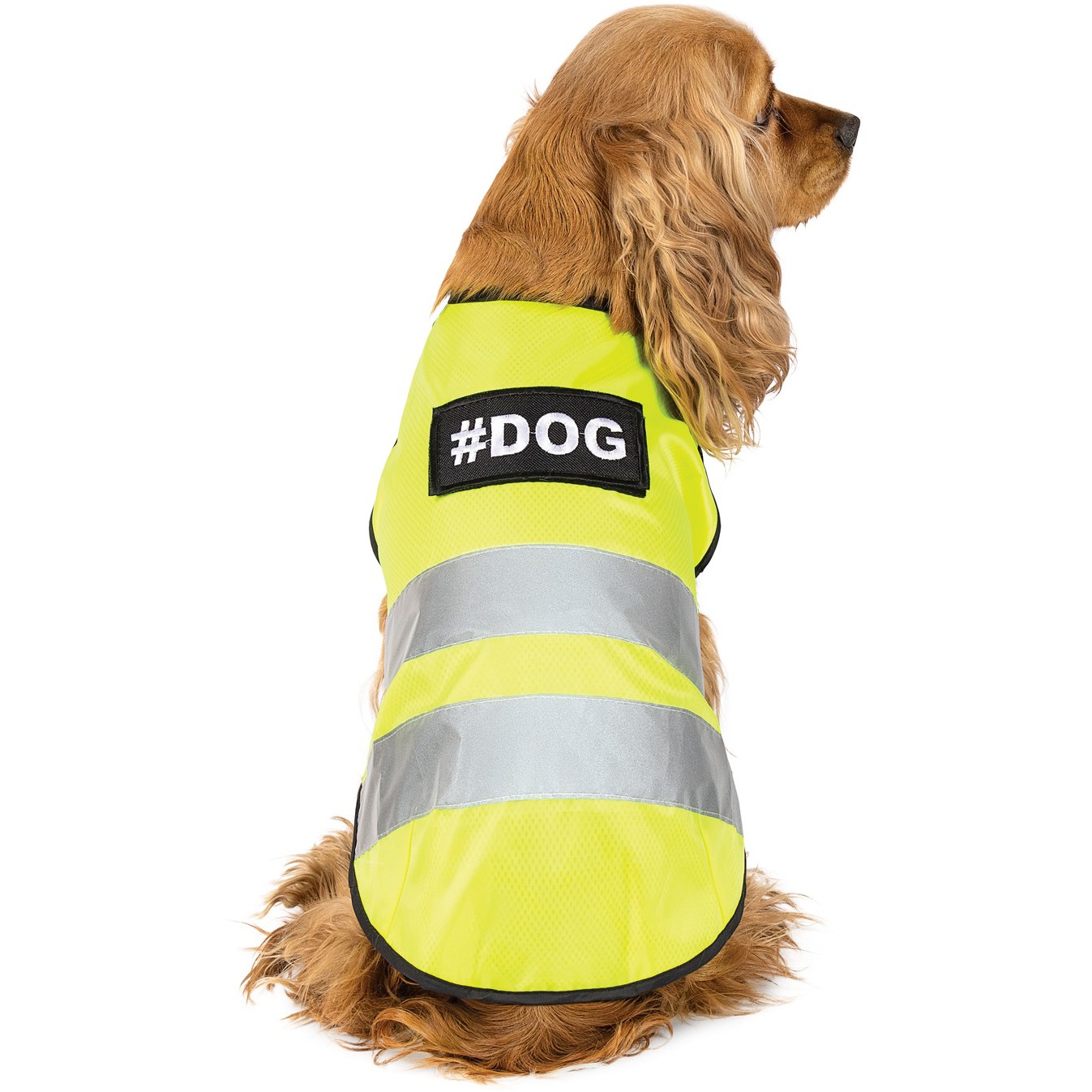 Pet Fashion Yellow Vest Жилет для собак4