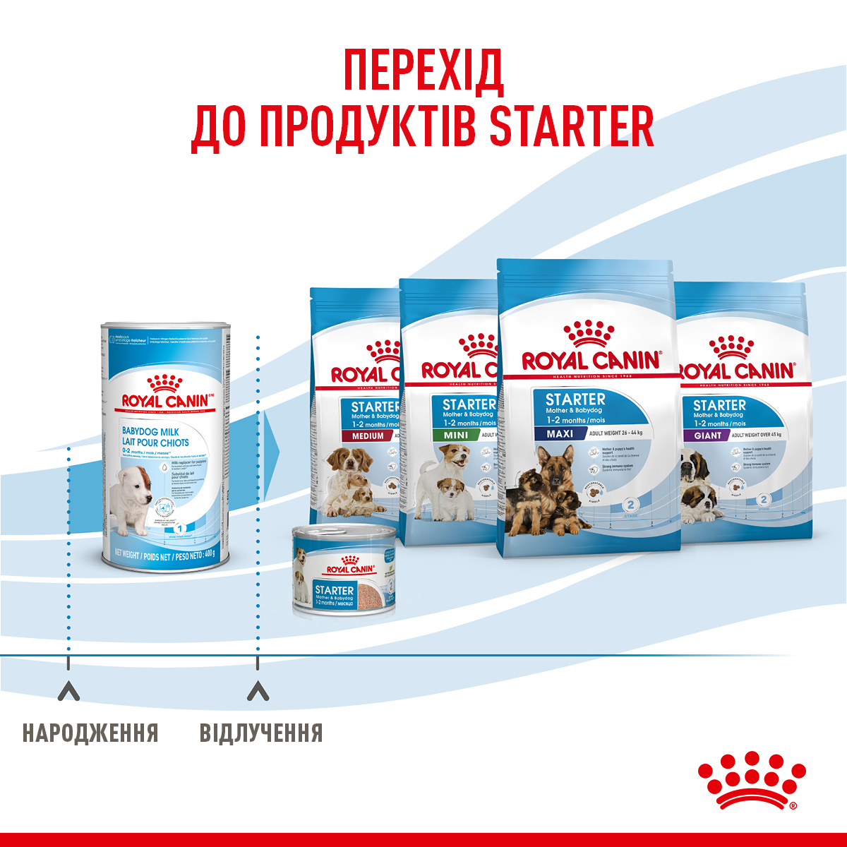 ROYAL CANIN BabyMilk Заменитель молока для собак7