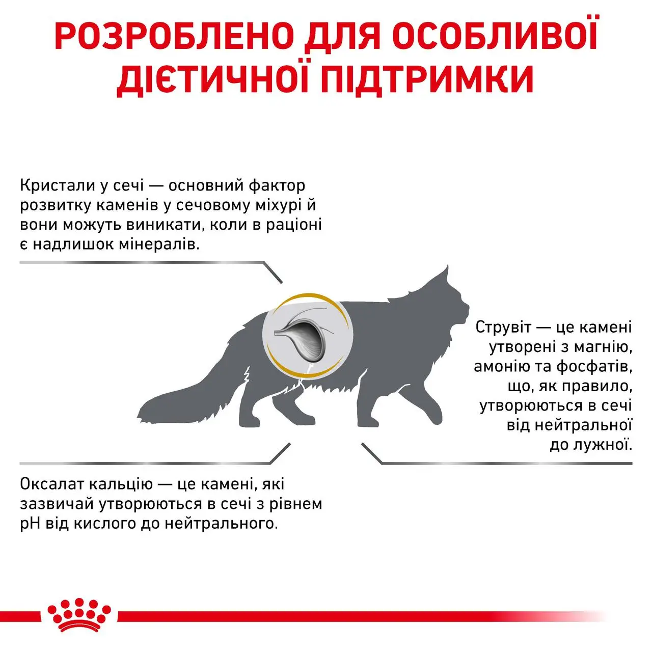 ROYAL CANIN Urinary S/O Cat Сухий корм для дорослих котів8