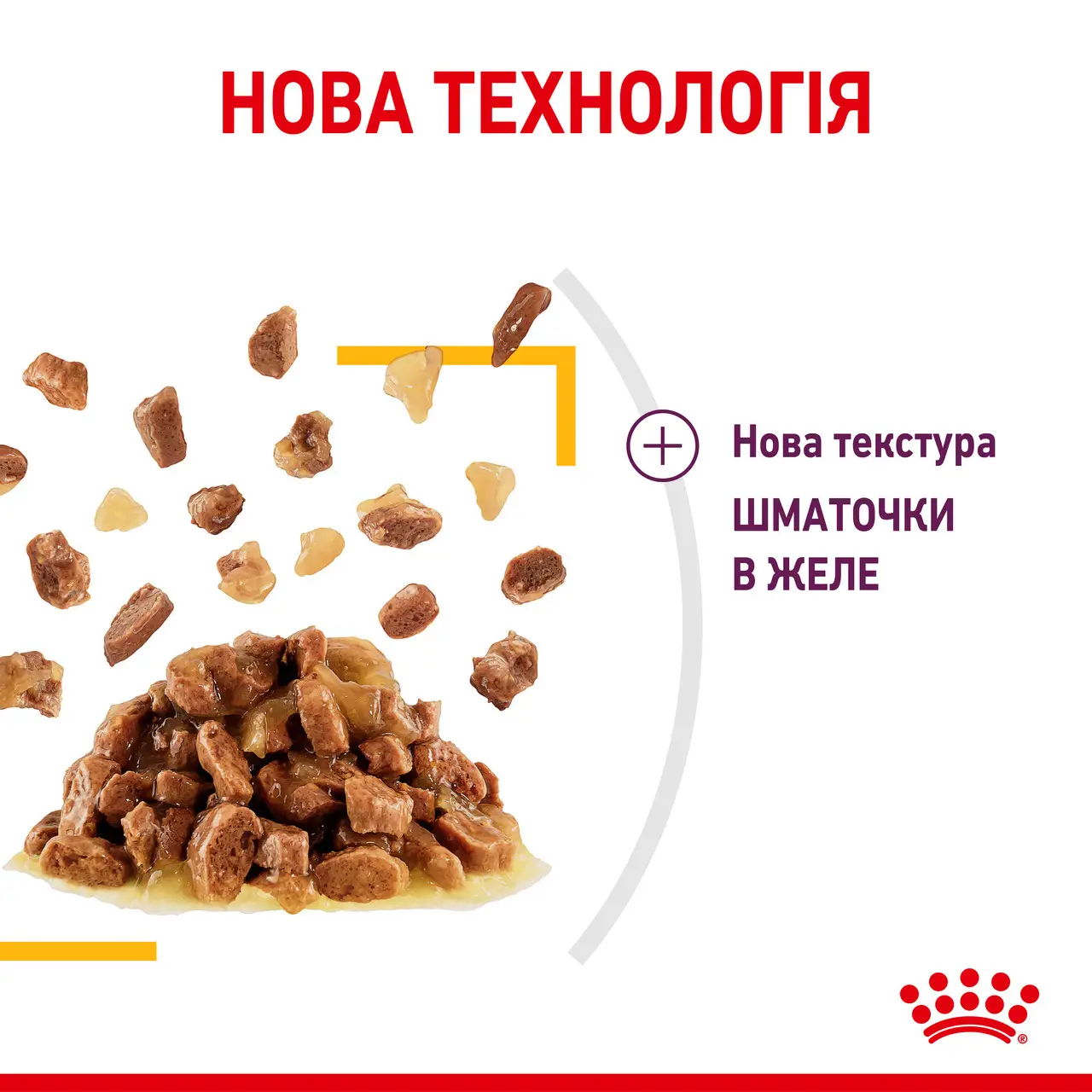 ROYAL CANIN Sensory Taste Jelly Вологий корм для дорослих котів4