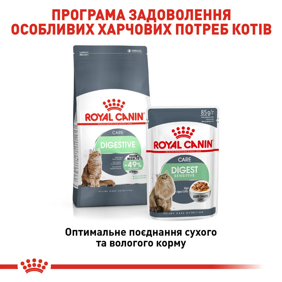 ROYAL CANIN Digest Sensitive Влажный корм для взрослых котов2