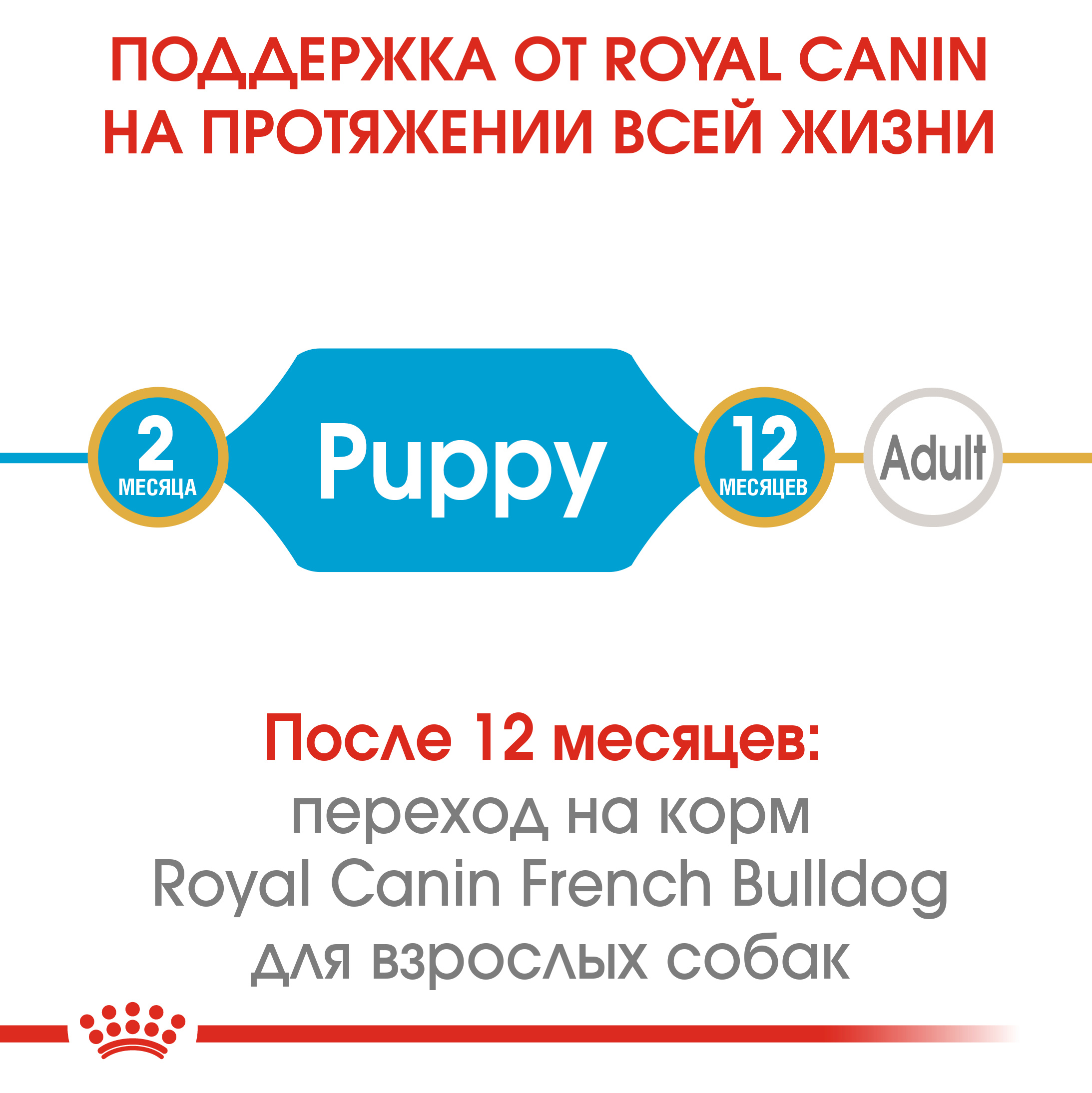 ROYAL CANIN French Bulldog Puppy Сухой корм для щенков породы Французский бульдог5