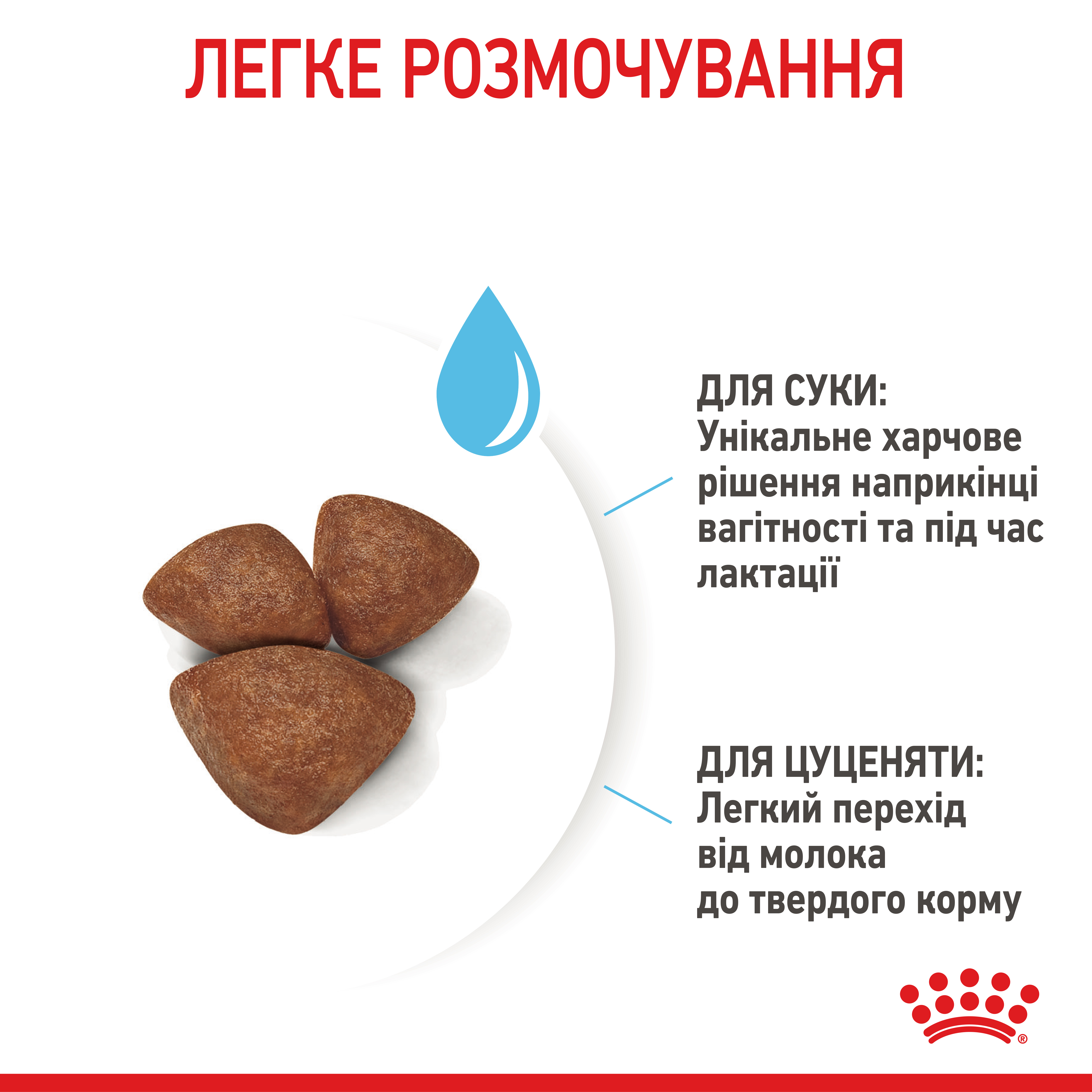 ROYAL CANIN Mini Starter Сухой корм для кормящих собак и щенков мини пород3