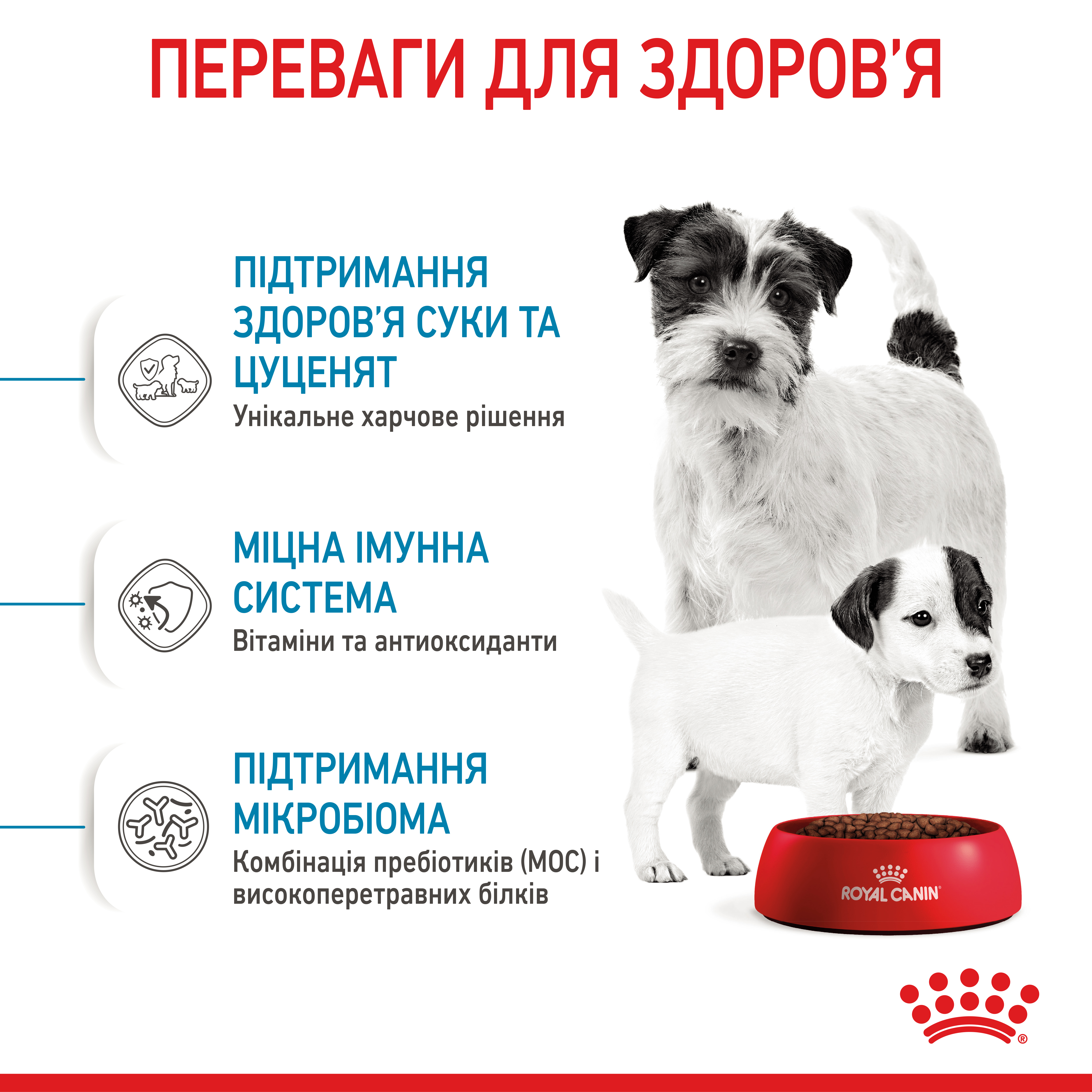 ROYAL CANIN Mini Starter Сухой корм для кормящих собак и щенков мини пород1