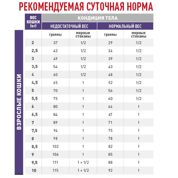 ROYAL CANIN Mature Consult Balance Feline Сухой корм для взрослых котов6