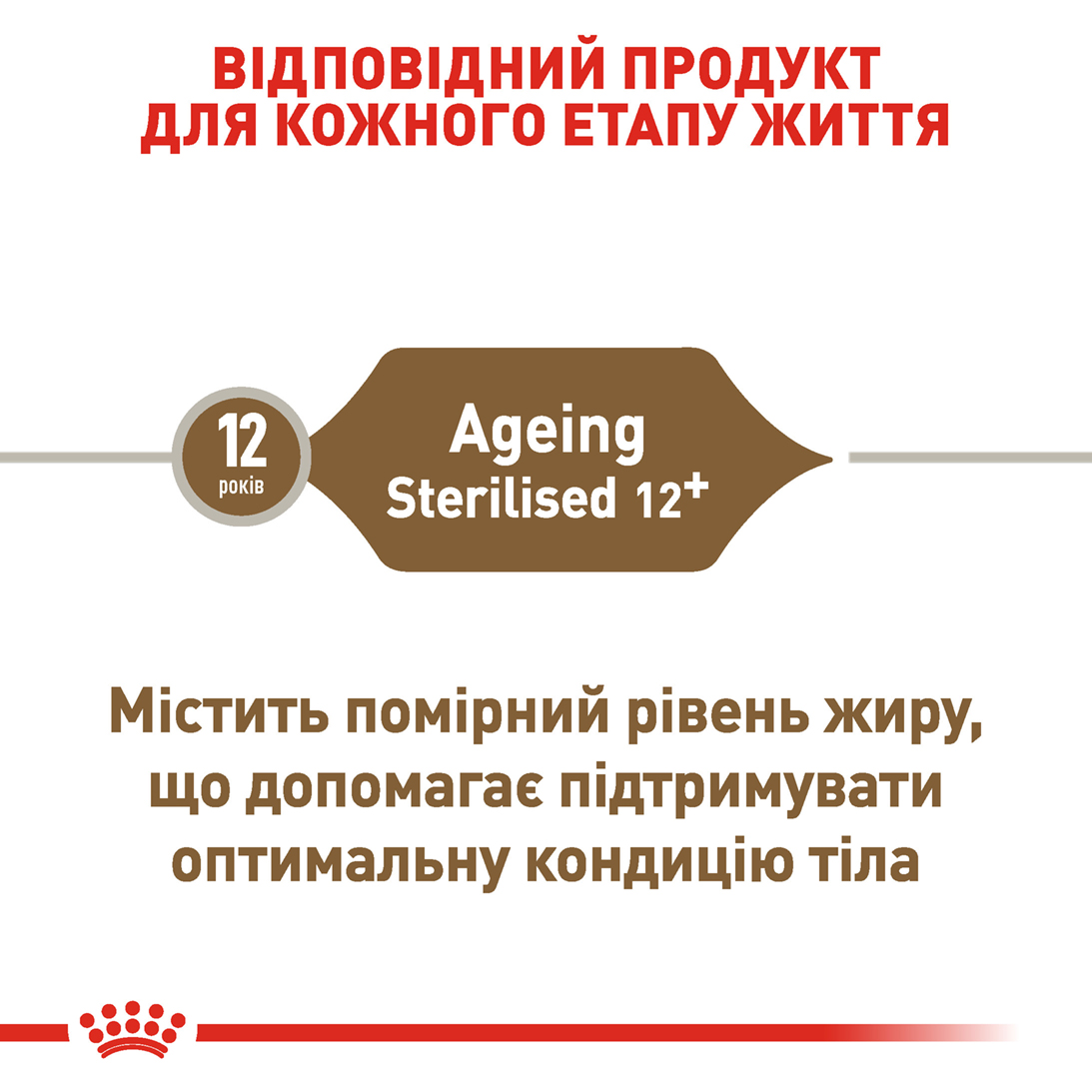 ROYAL CANIN Sterilised Ageing 12+ Сухой корм для взрослых стерилизованных котов5