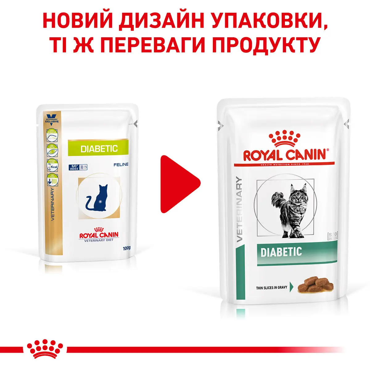 ROYAL CANIN Diabetic Cat Вологий корм для дорослих котів2