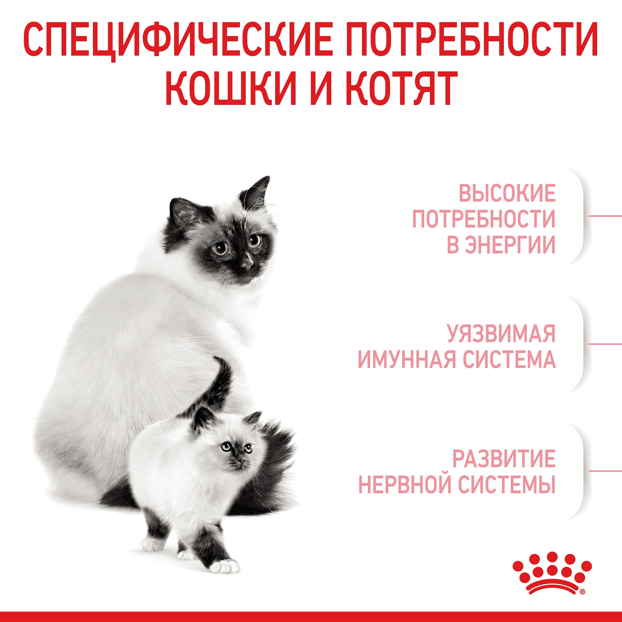 ROYAL CANIN Mother and Babycat Сухий корм для кошенят та кішок під час вагітності6