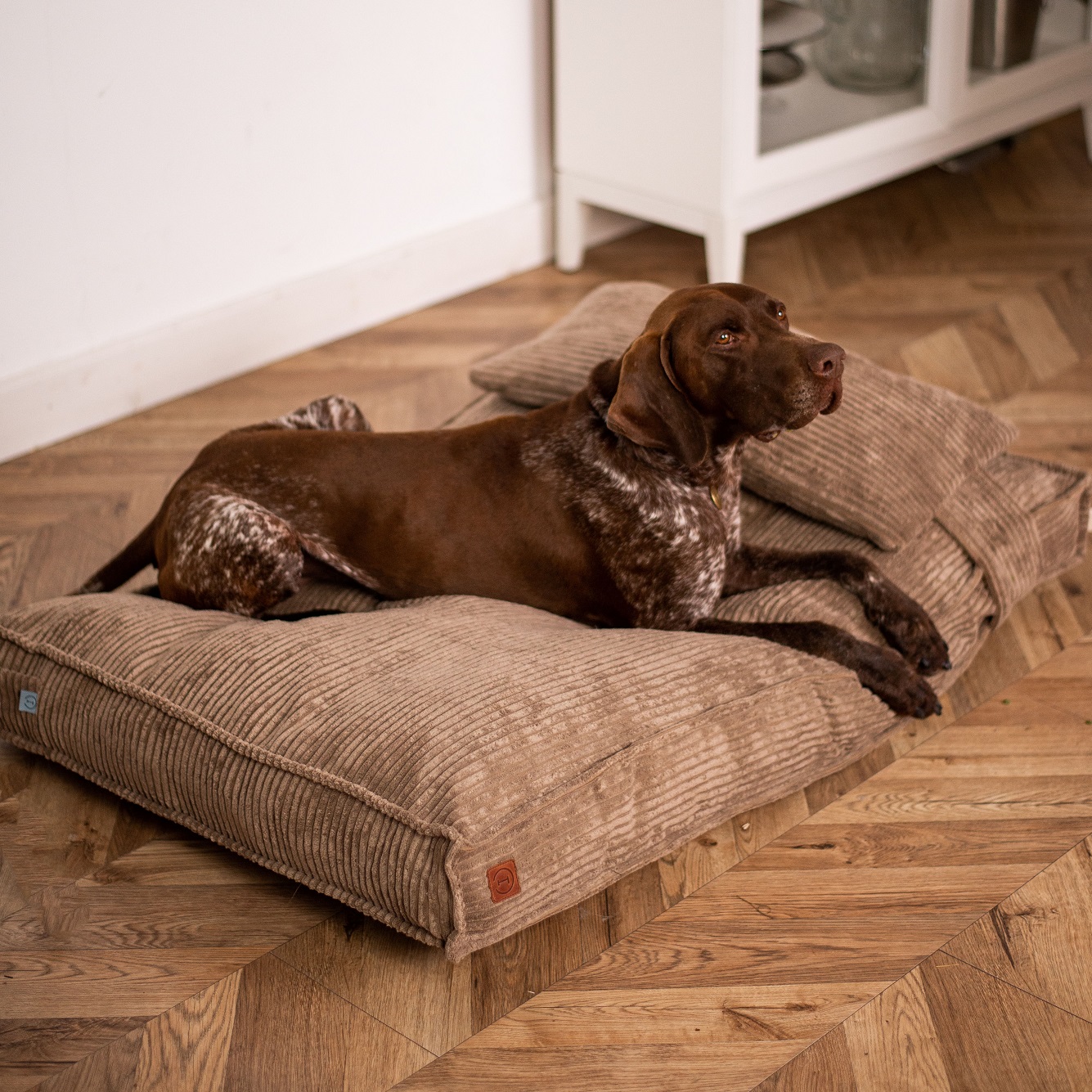 HARLEY AND CHO Подушка для собак Memory Foam Cacao6