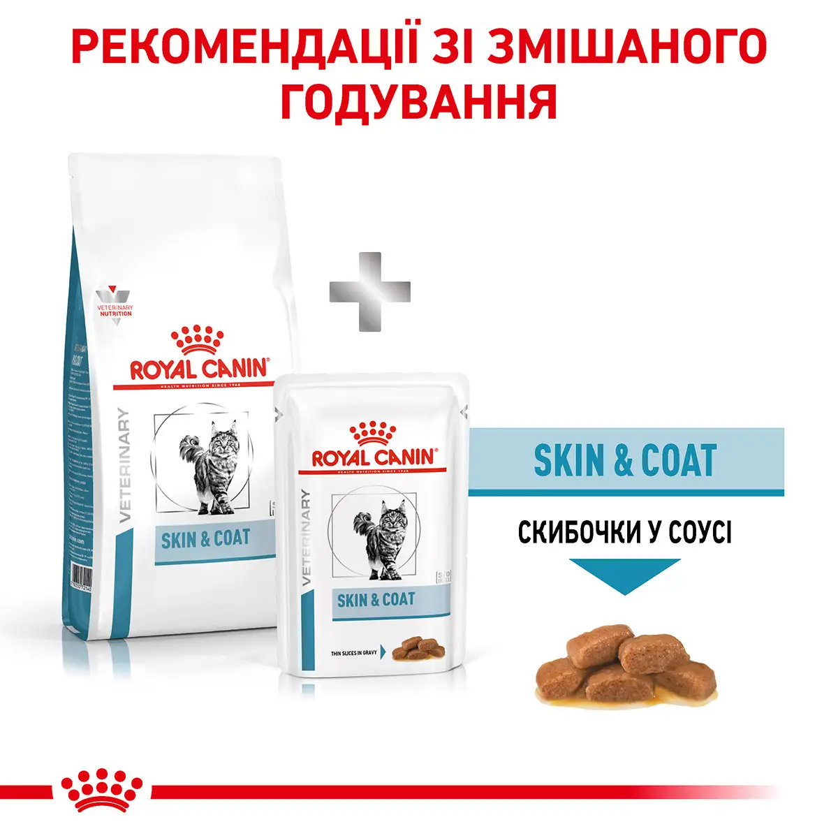 ROYAL CANIN Skin&Coat Cat Сухий корм для дорослих котів3