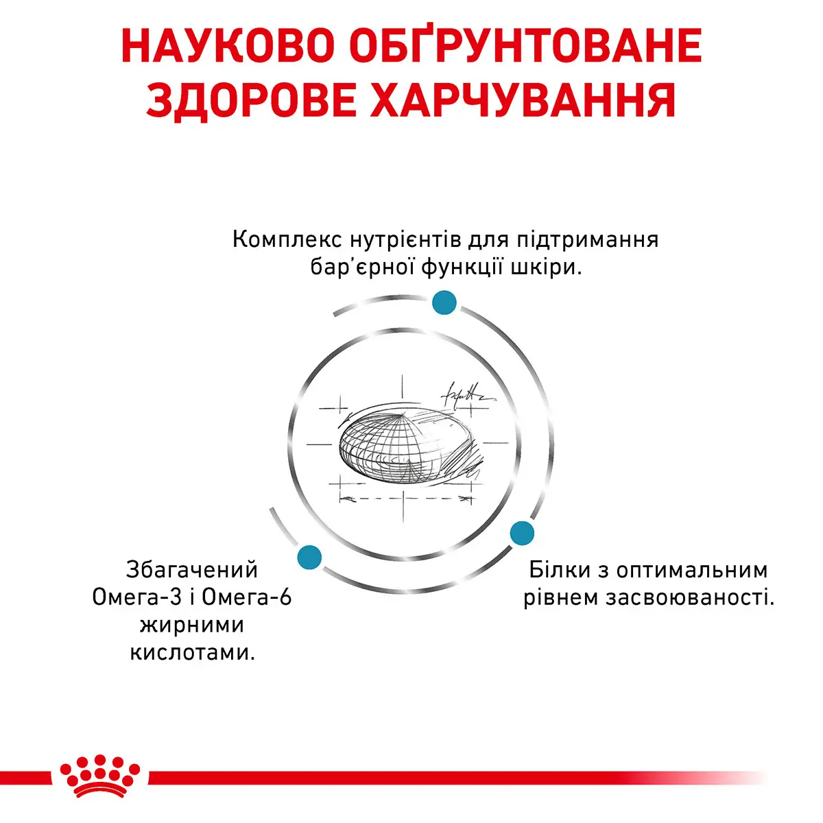 ROYAL CANIN Skin Care Adult Dog Сухий корм для дорослих собак2