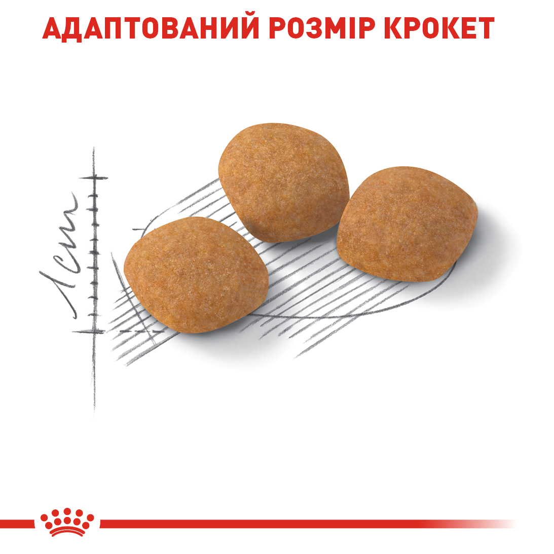 ROYAL CANIN Exigent Protein Сухий корм для дорослих котів вибагливих до поживності раціону3