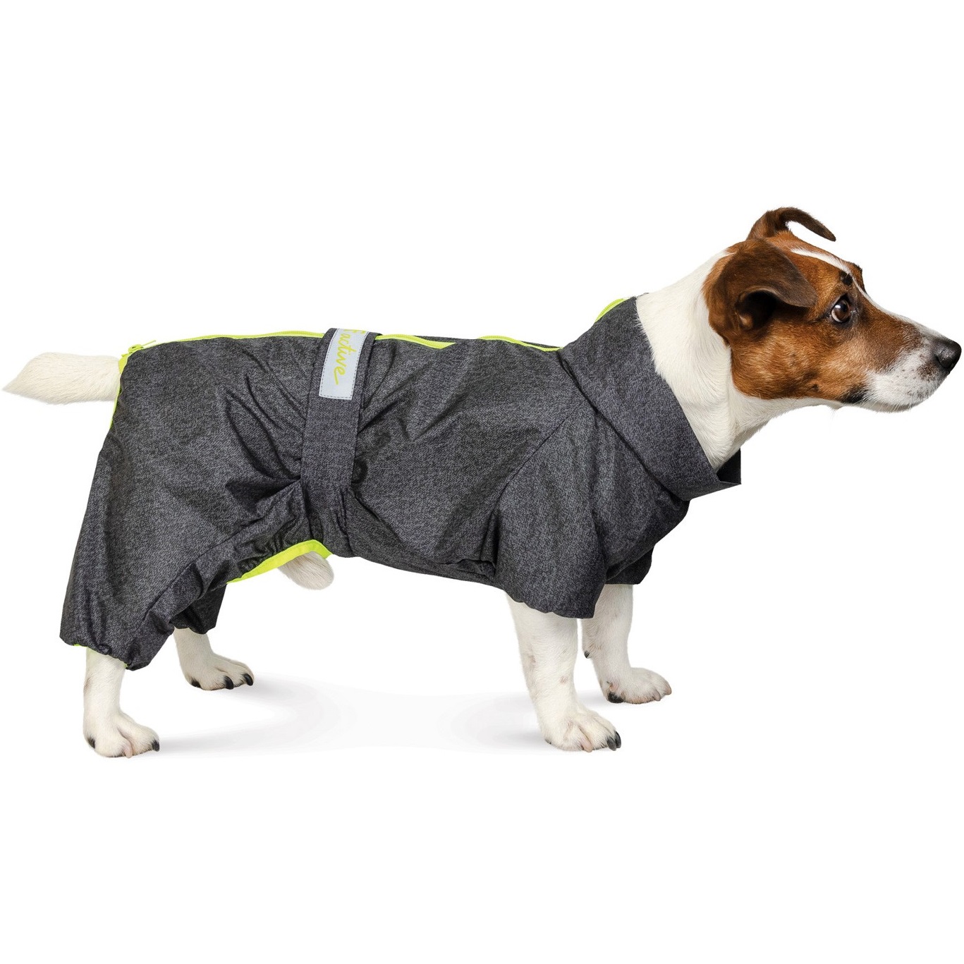 Pet Fashion «Rain" Комбінезон для собак1