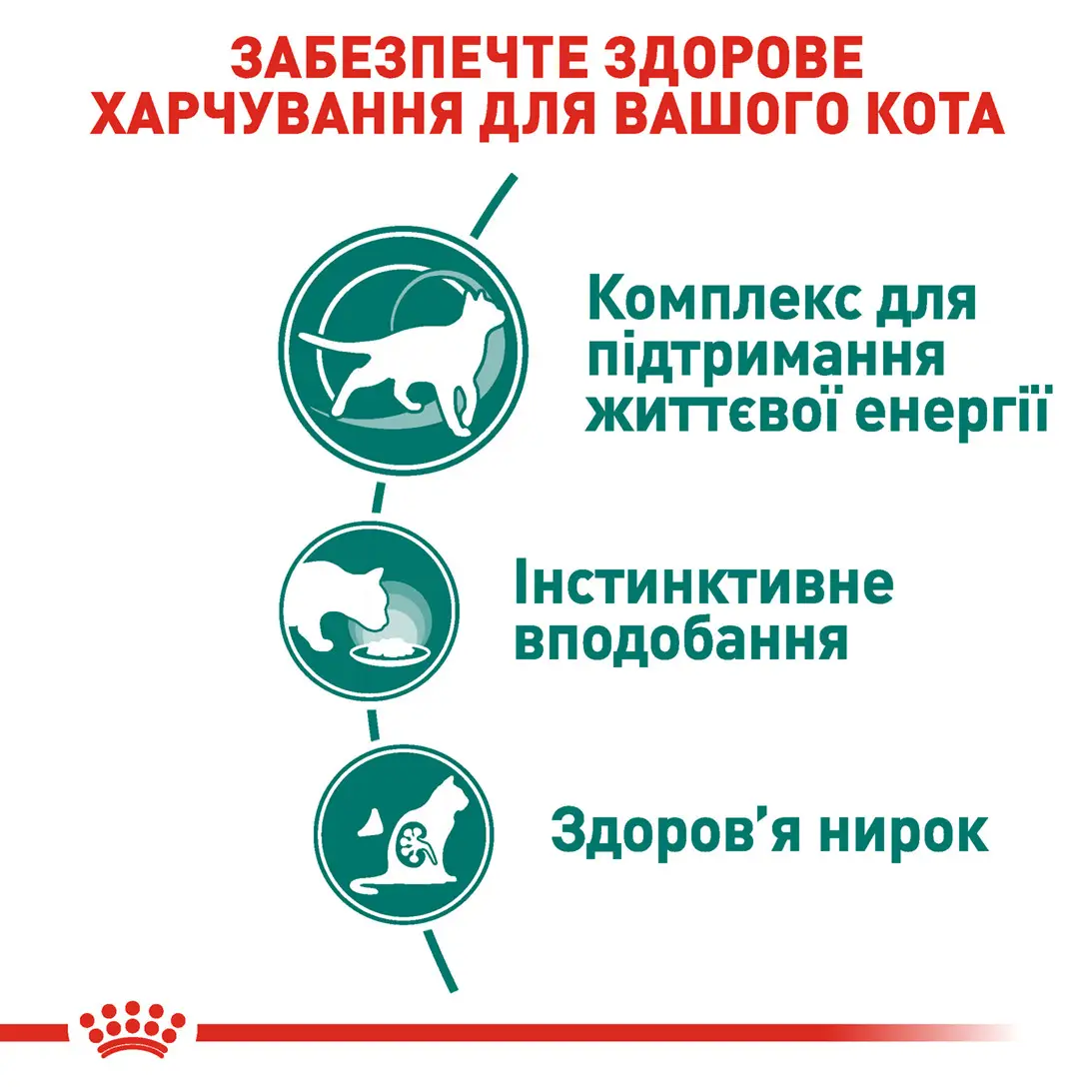 ROYAL CANIN Instinctive 7+ Вологий корм для дорослих котів3