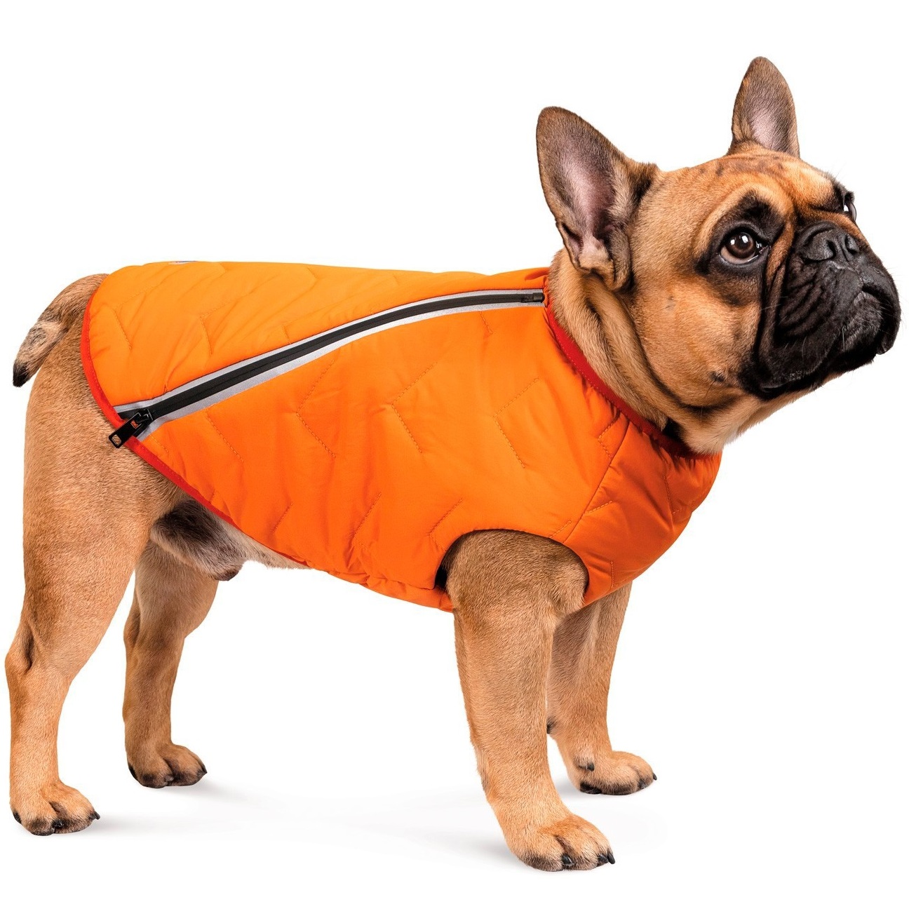 Pet Fashion "E.Vest" Жилет для собак1