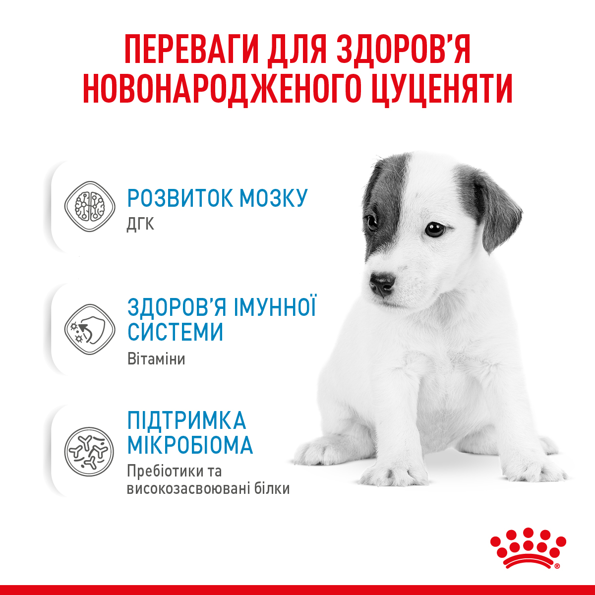 ROYAL CANIN BabyMilk Замінник молока для собак3