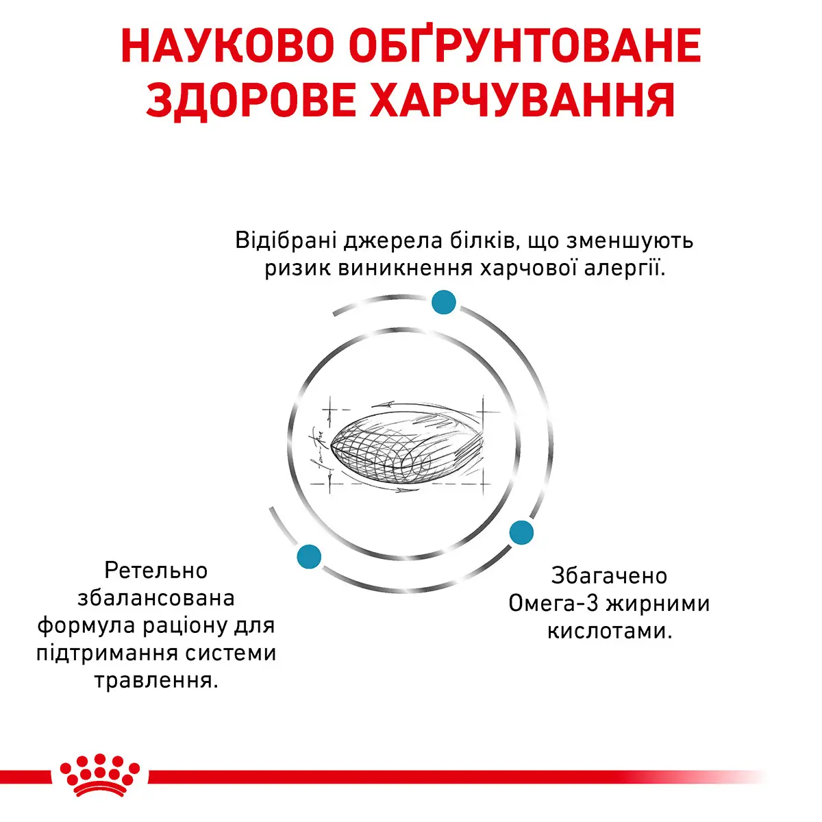 ROYAL CANIN Sensitivity Control Dog Сухий корм для дорослих собак2