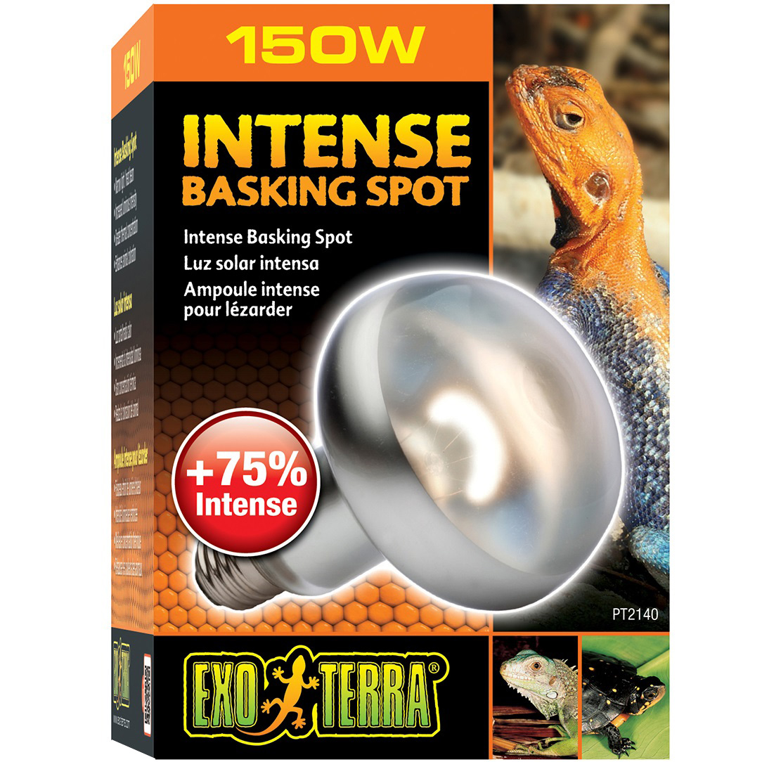 EXO TERRA Intense Basking Spot 150W Лампа дневная для террариума0