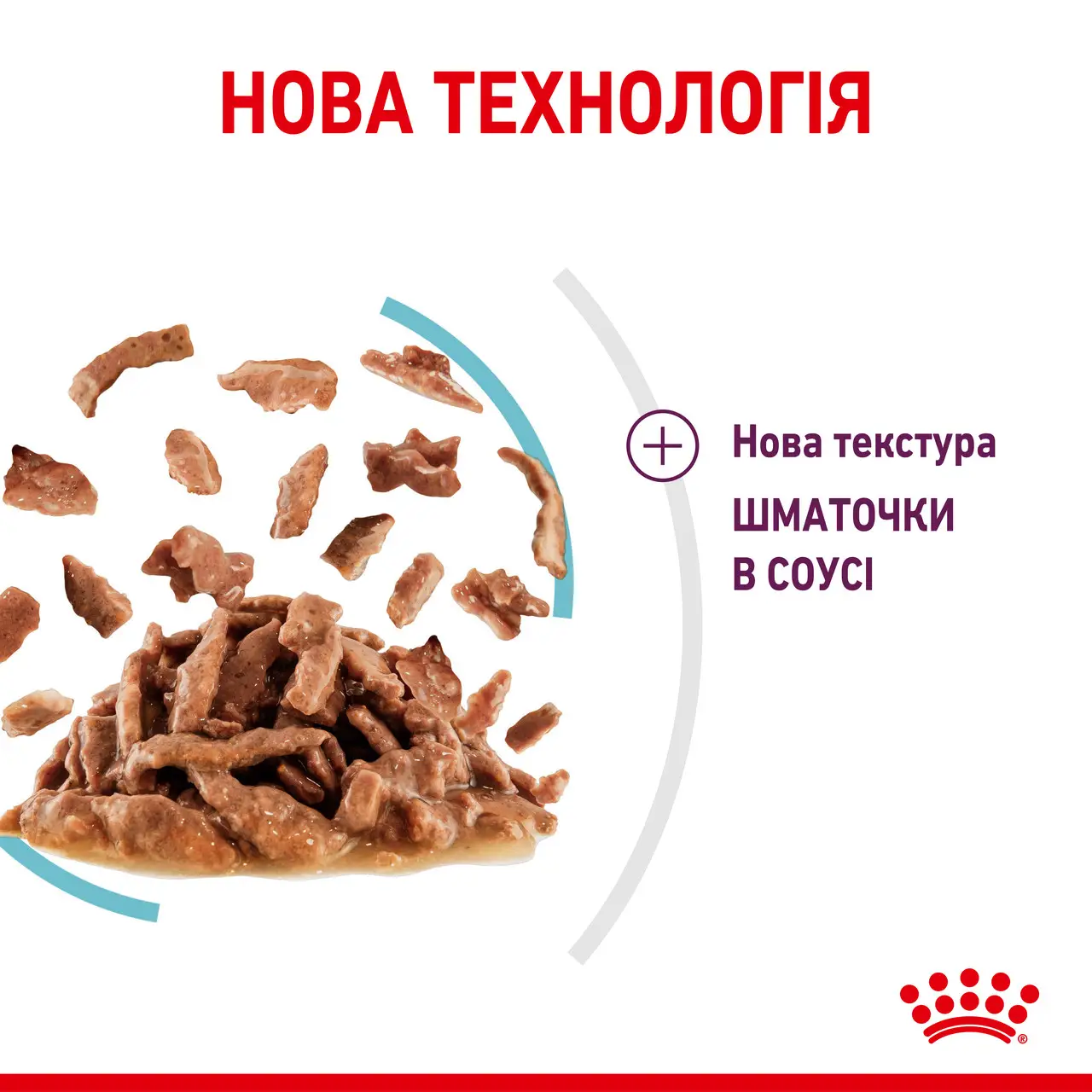 ROYAL CANIN Sensory Feel Gravy Вологий корм для дорослих котів4