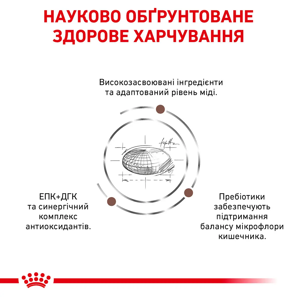 ROYAL CANIN Hepatic Cat Сухий корм для дорослих котів8