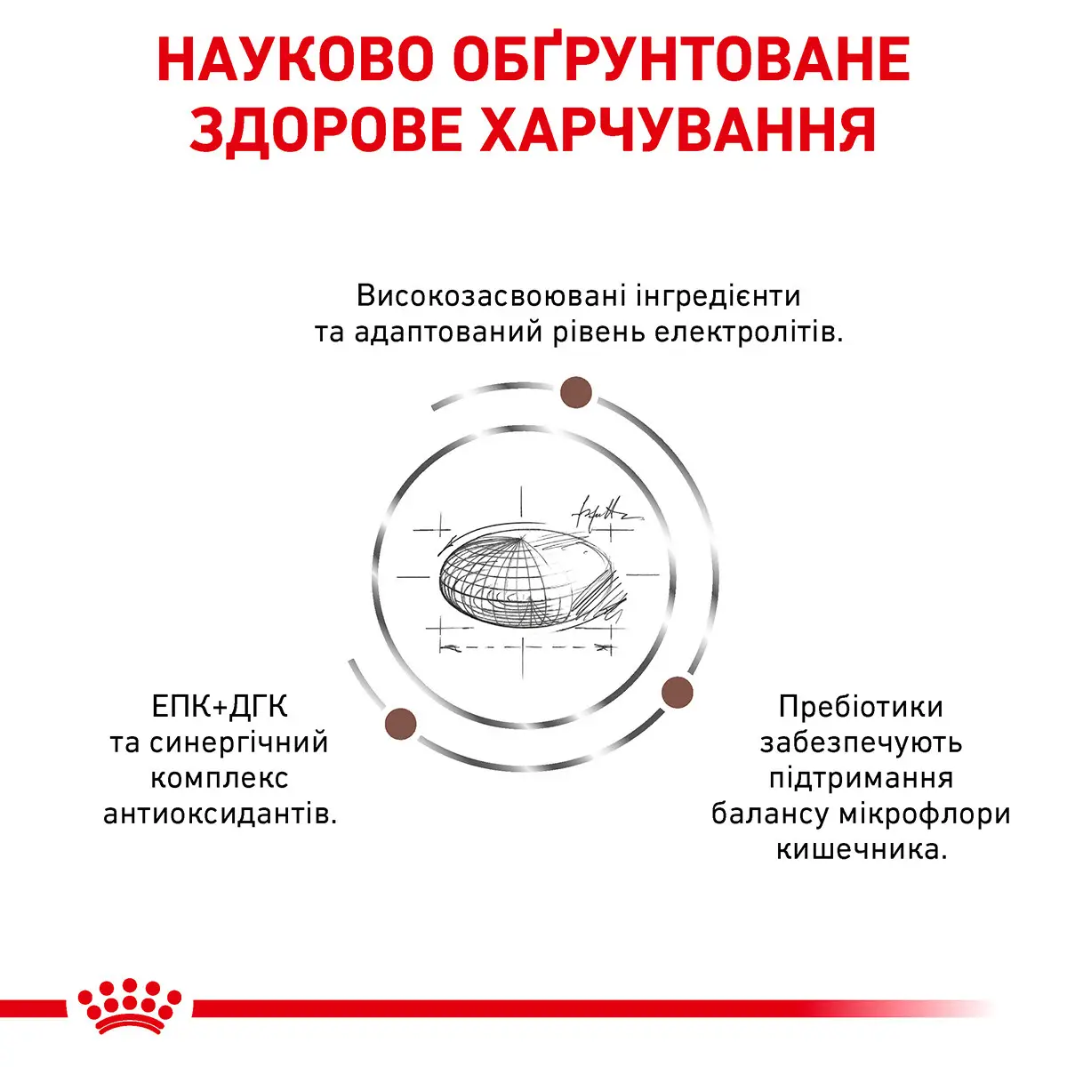 ROYAL CANIN Gastro Intestinal Moderate Calorie Cat Сухий корм для дорослих котів9