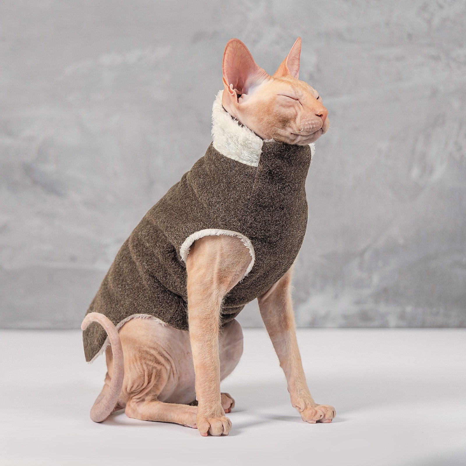 Pet Fashion "Cat" Свитер для котов4