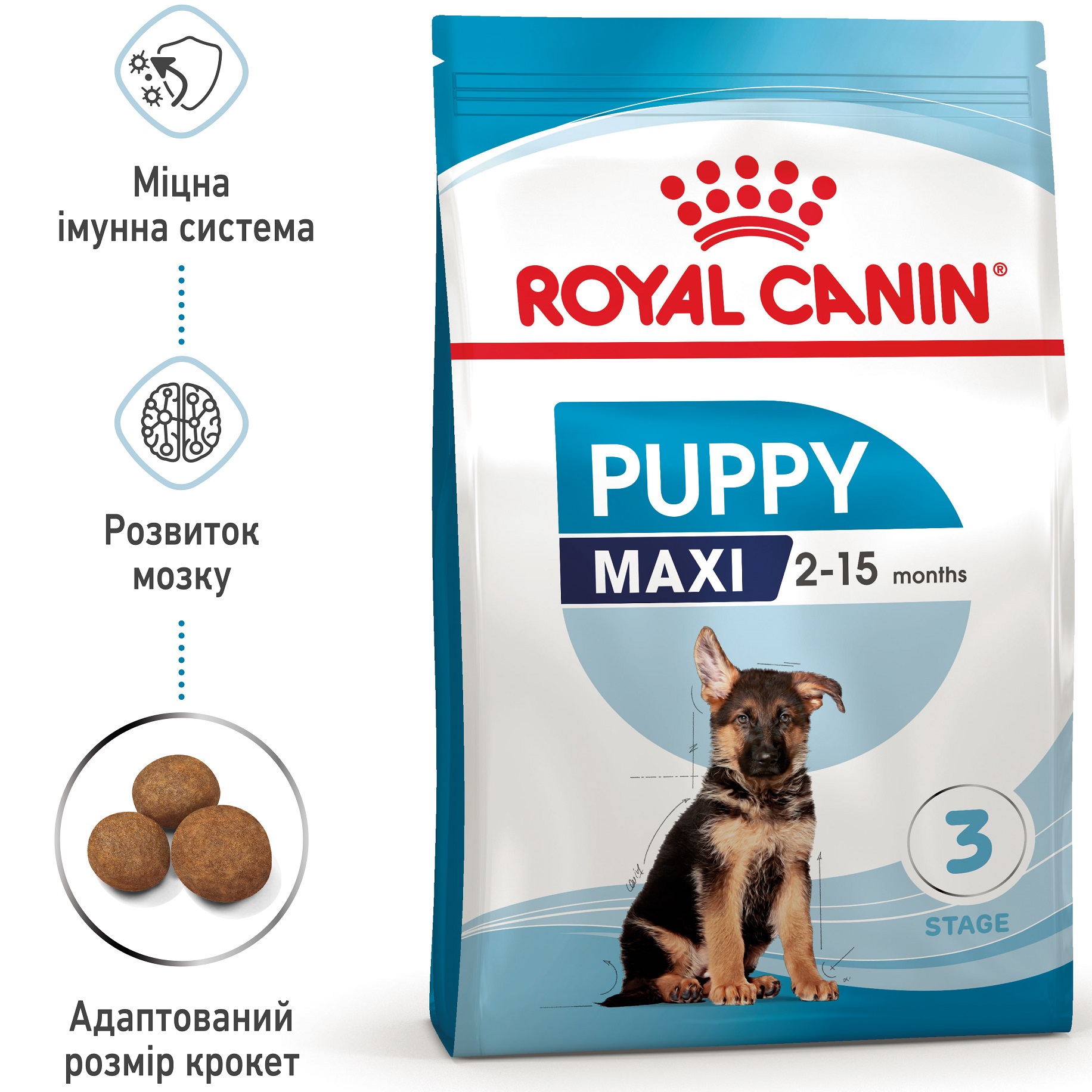 ROYAL CANIN Maxi Puppy Сухий корм для цуценят великих порід3