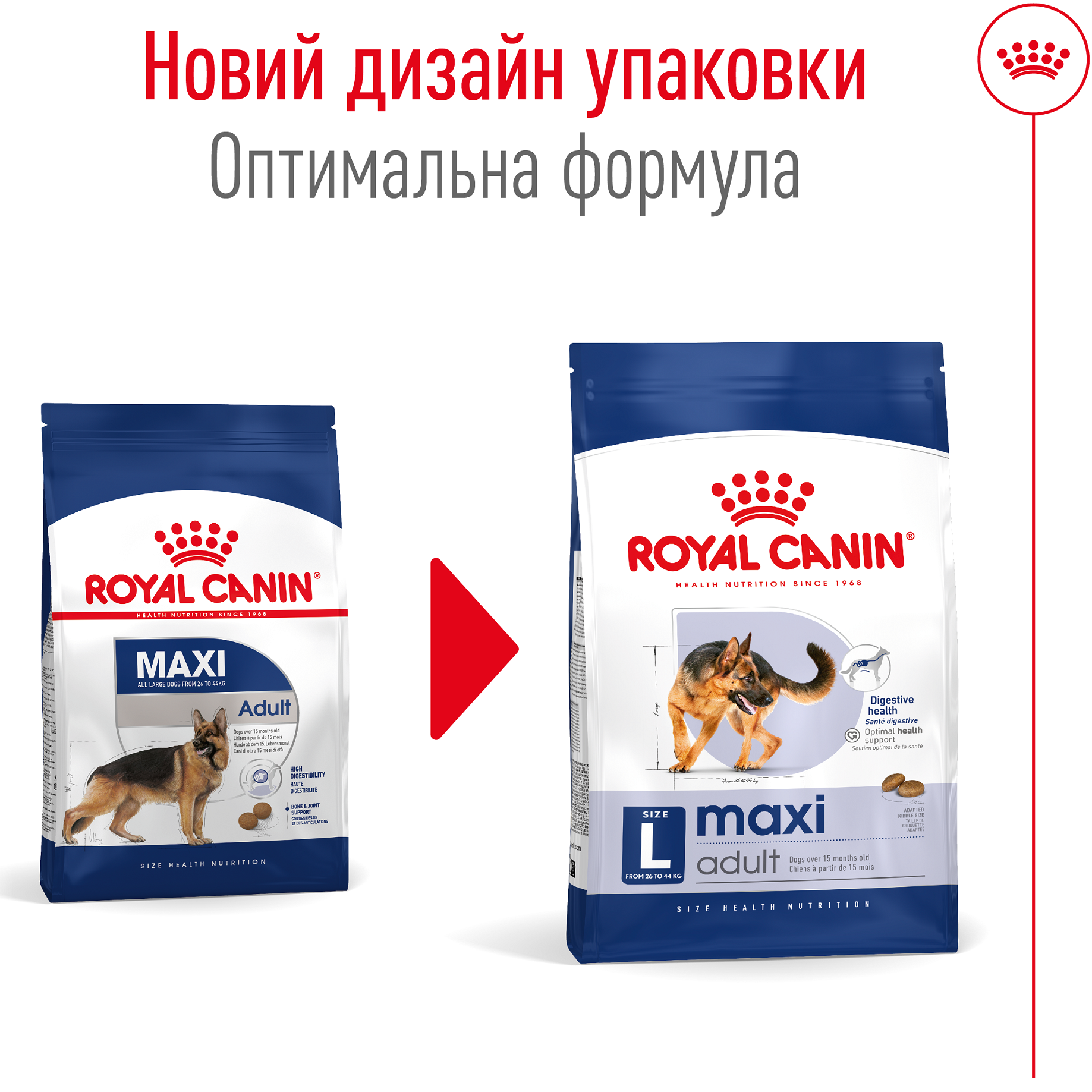 ROYAL CANIN Maxi Adult Сухий корм для дорослих собак великих порід1