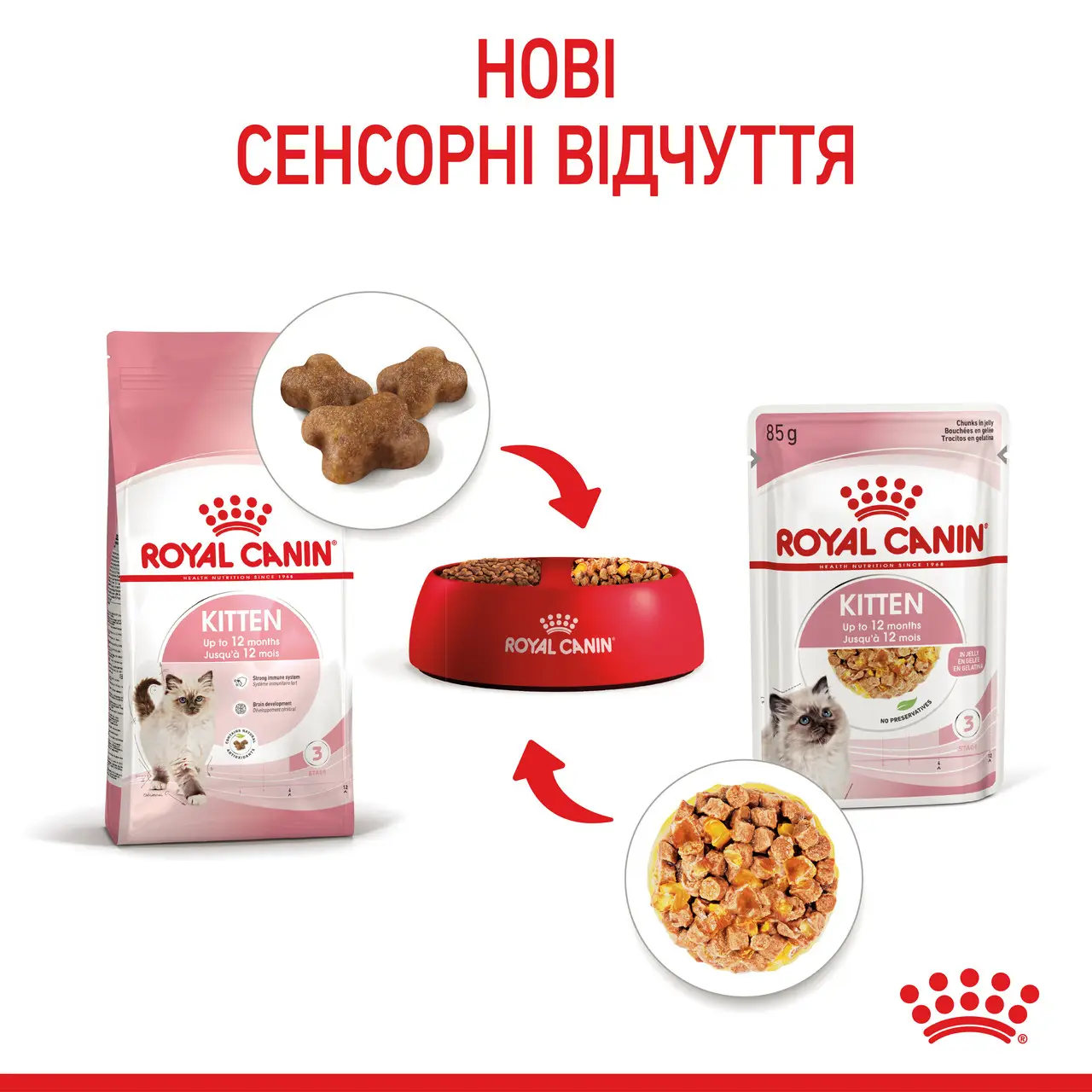 ROYAL CANIN Kitten Jelly Вологий корм для кошенят8