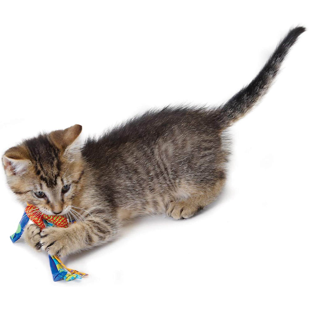 PETSTAGES Catnip Dental Health Chew Іграшка для котів з котячою м'ятою3