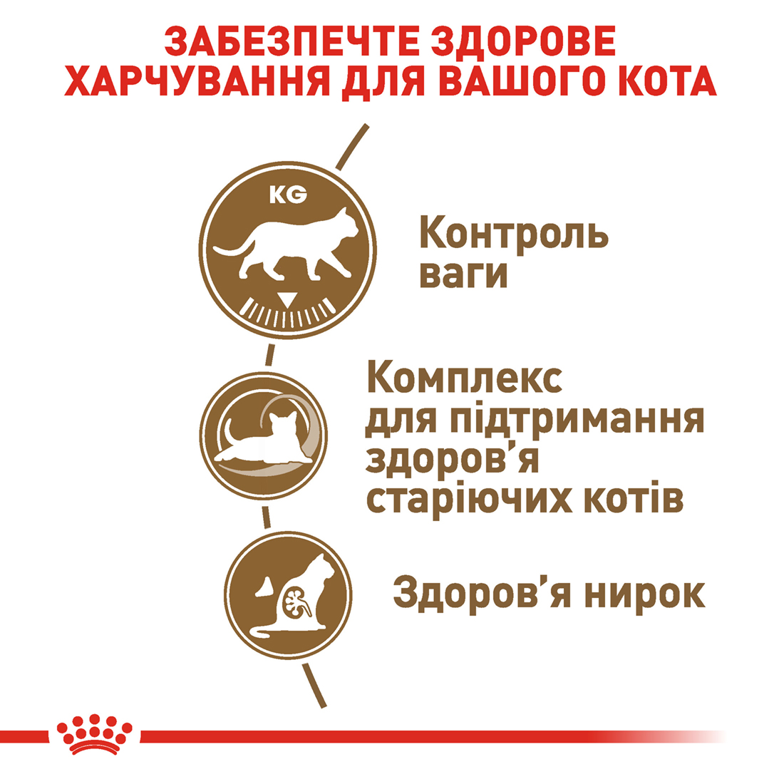 ROYAL CANIN Sterilised Ageing 12+ Сухой корм для взрослых стерилизованных котов7