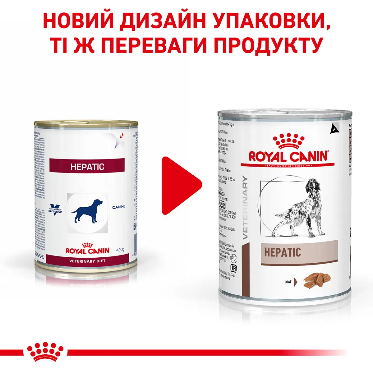 ROYAL CANIN Hepatic Dog Вологий корм для дорослих собак6