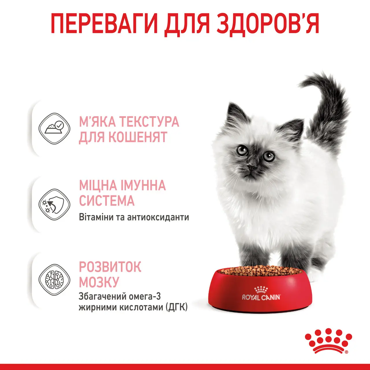 ROYAL CANIN Kitten Gravy Вологий корм для кошенят6