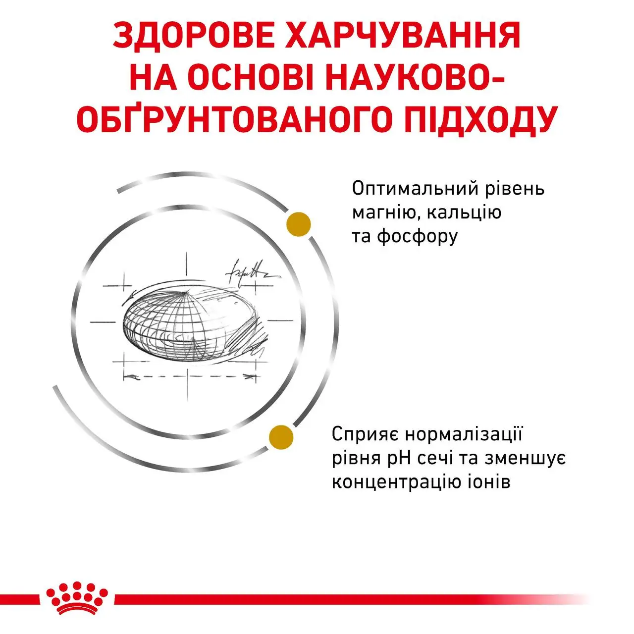 ROYAL CANIN Urinary S/O Cat Сухий корм для дорослих котів4