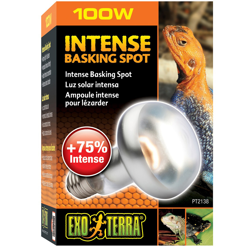 EXO TERRA Intense Basking Spot 100W Лампа денна для тераріуму2